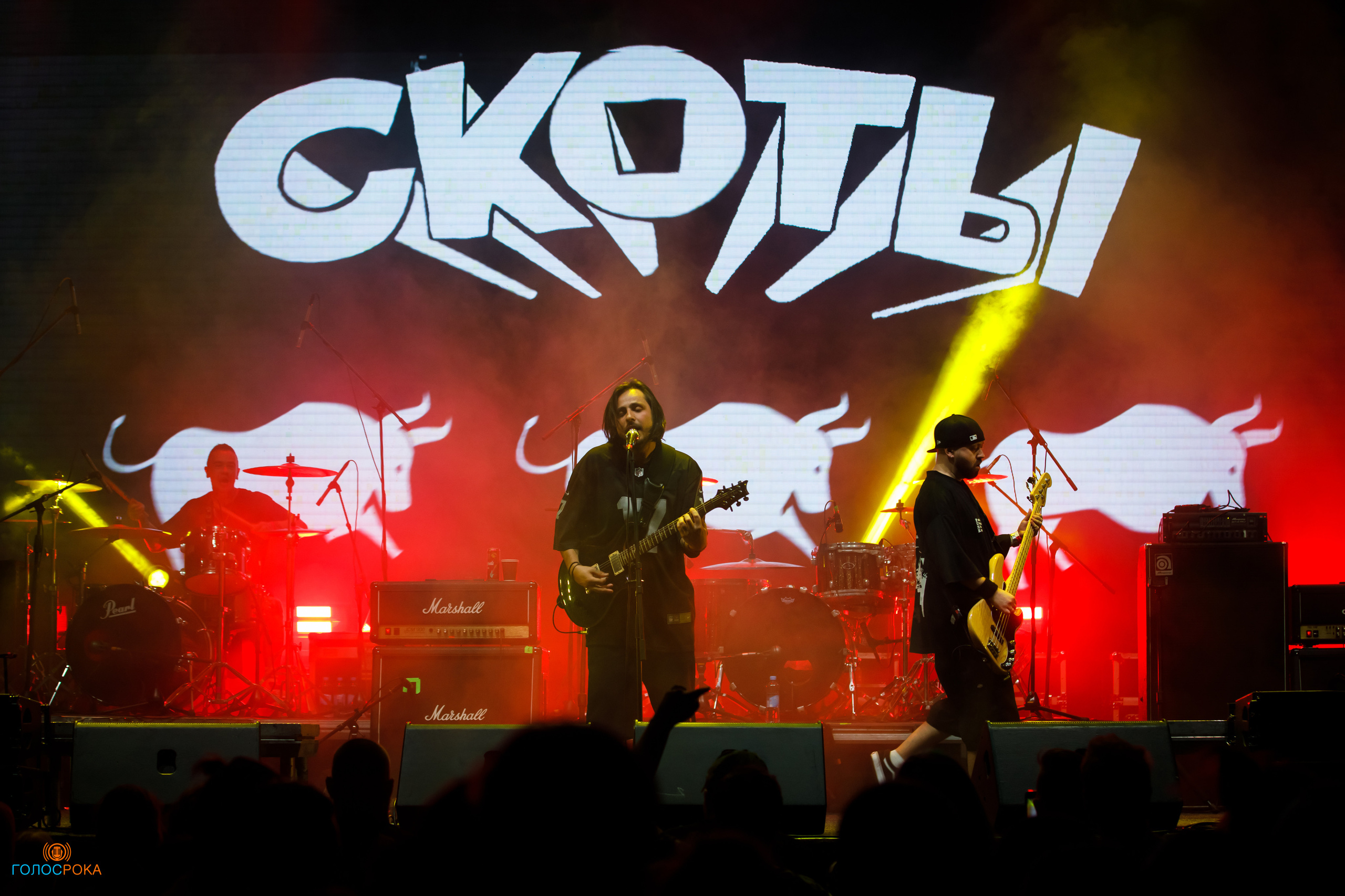 Wild Energy Fest /09.06.2023/ Base. Репортажный и портретный фотограф Русакова Жанна