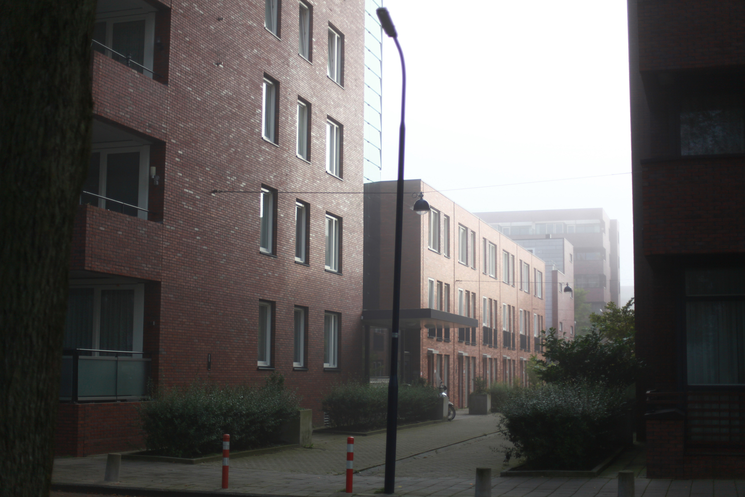 Голландия / 2017. Репортажный и портретный фотограф Русакова Жанна