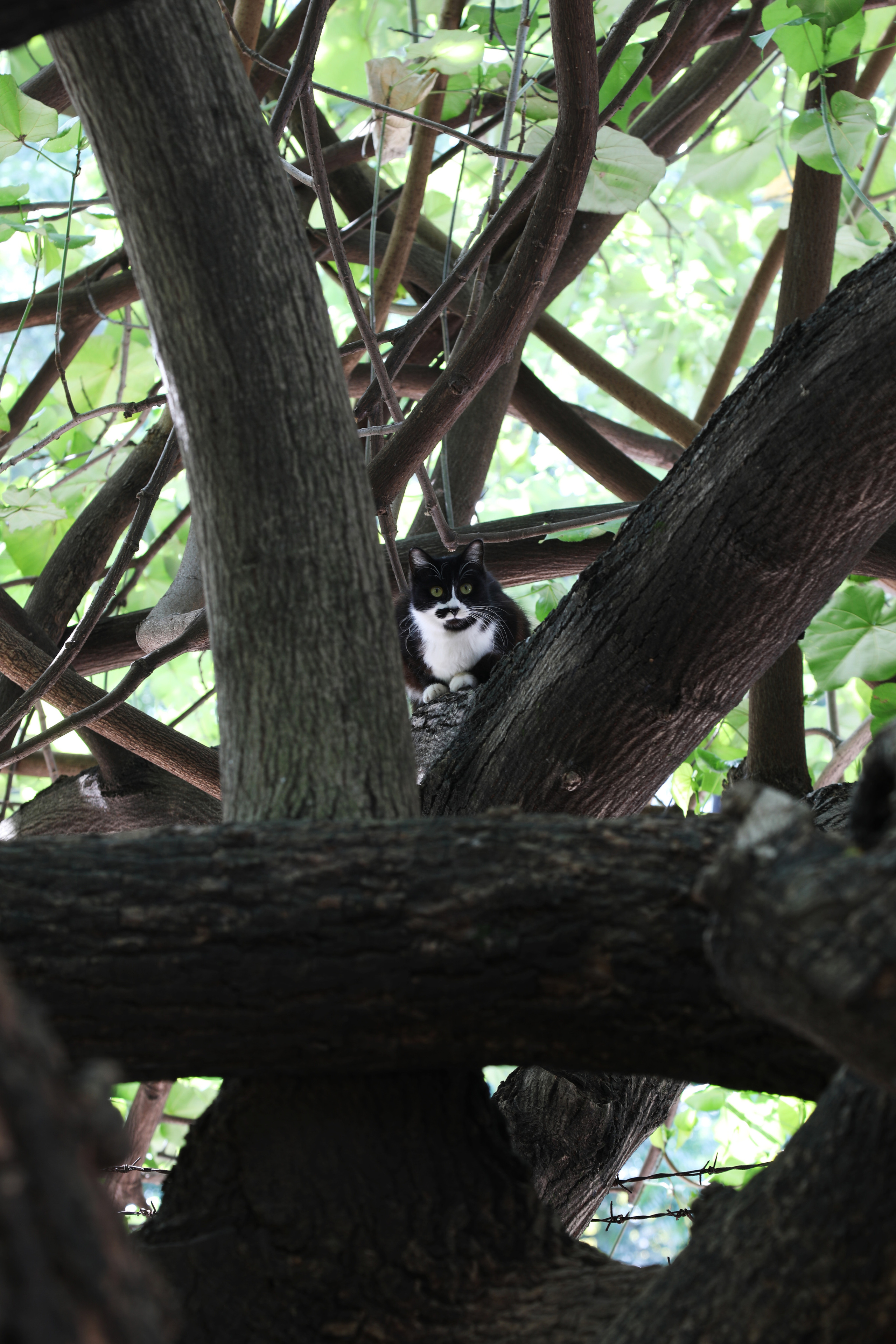 Гон Конг. Зеленый город. Репортажный и портретный фотограф Русакова Жанна