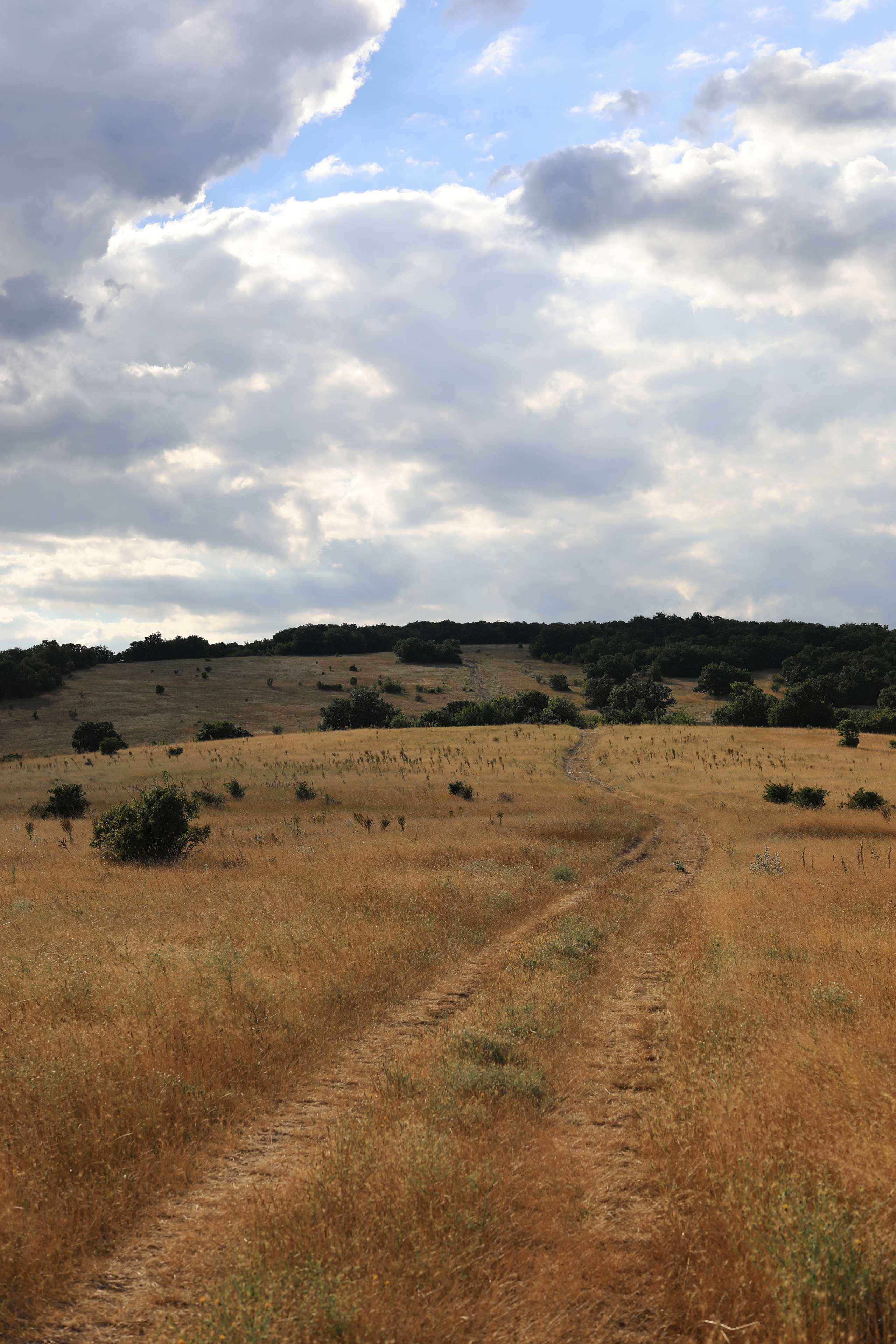 Болгария. Горы / 2022. Репортажный и портретный фотограф Русакова Жанна