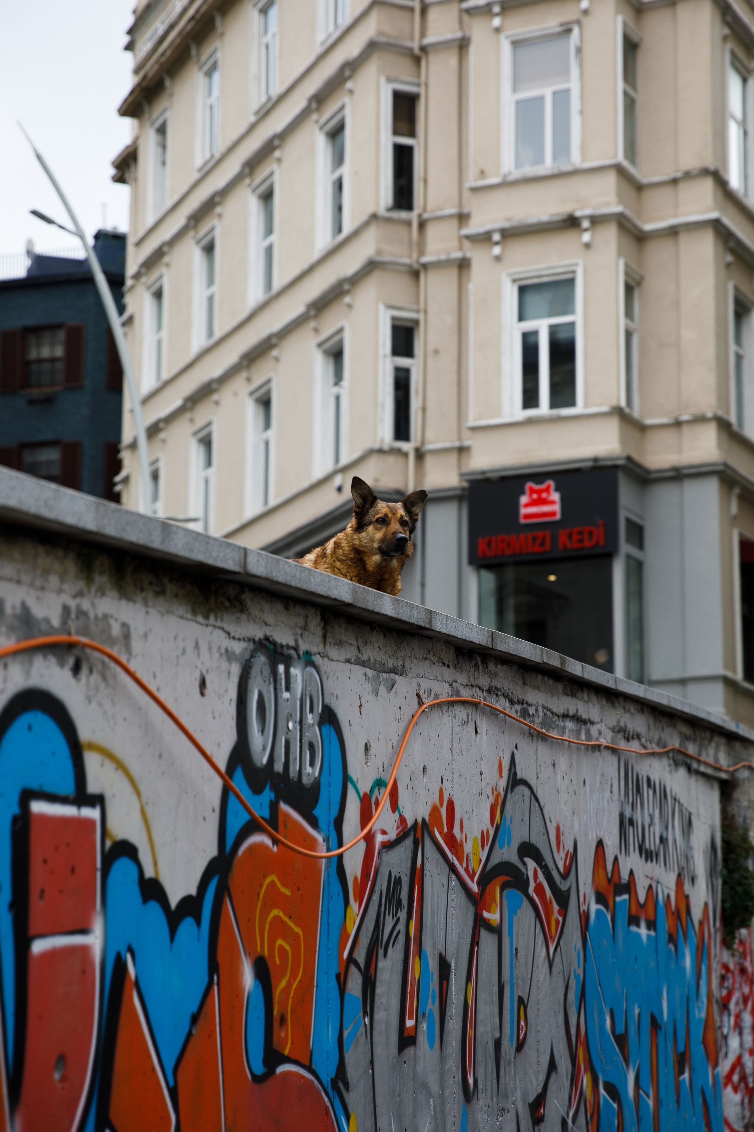 Стамбул. Быт. Репортажный и портретный фотограф Русакова Жанна