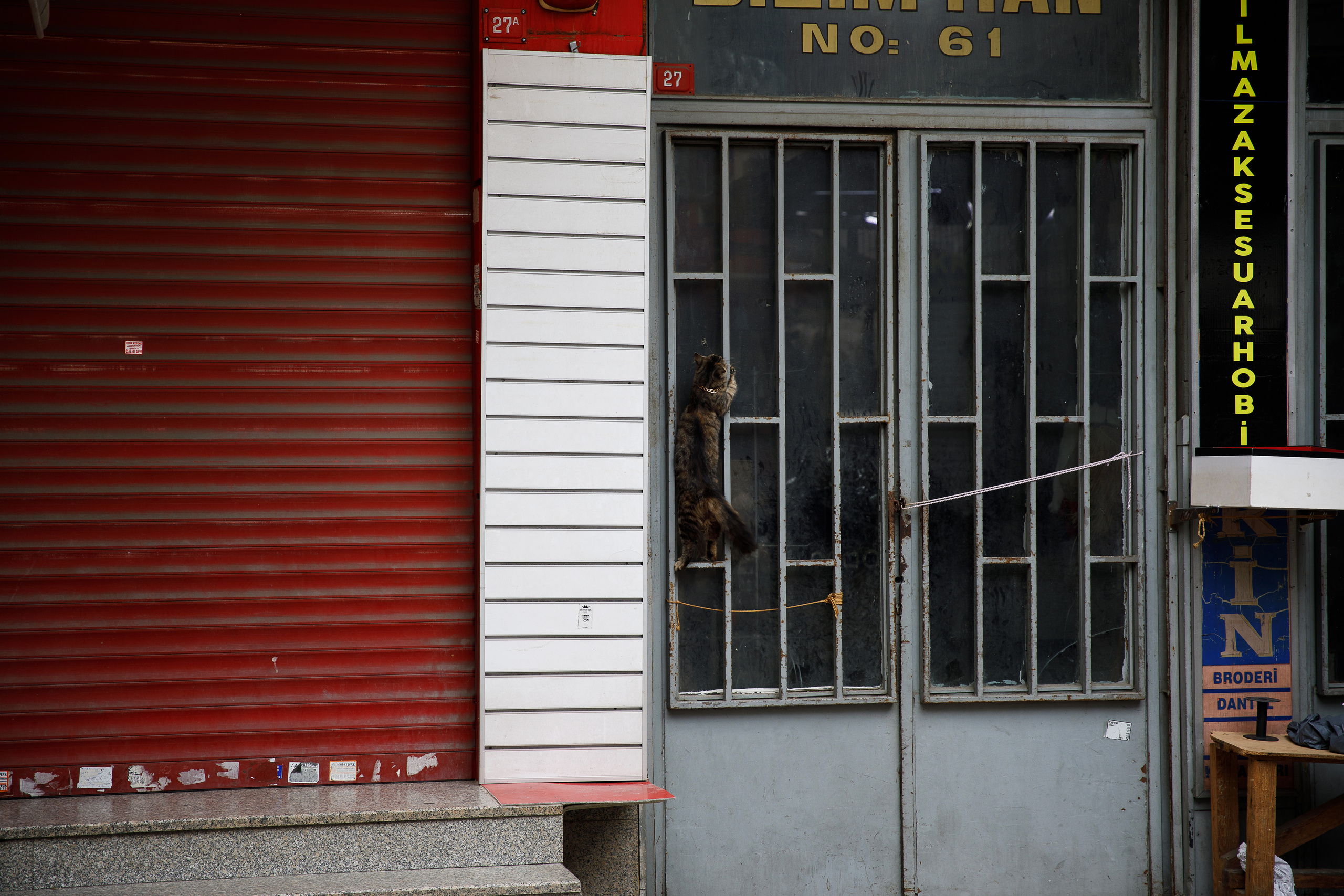Стамбул. Город кошек. Репортажный и портретный фотограф Русакова Жанна