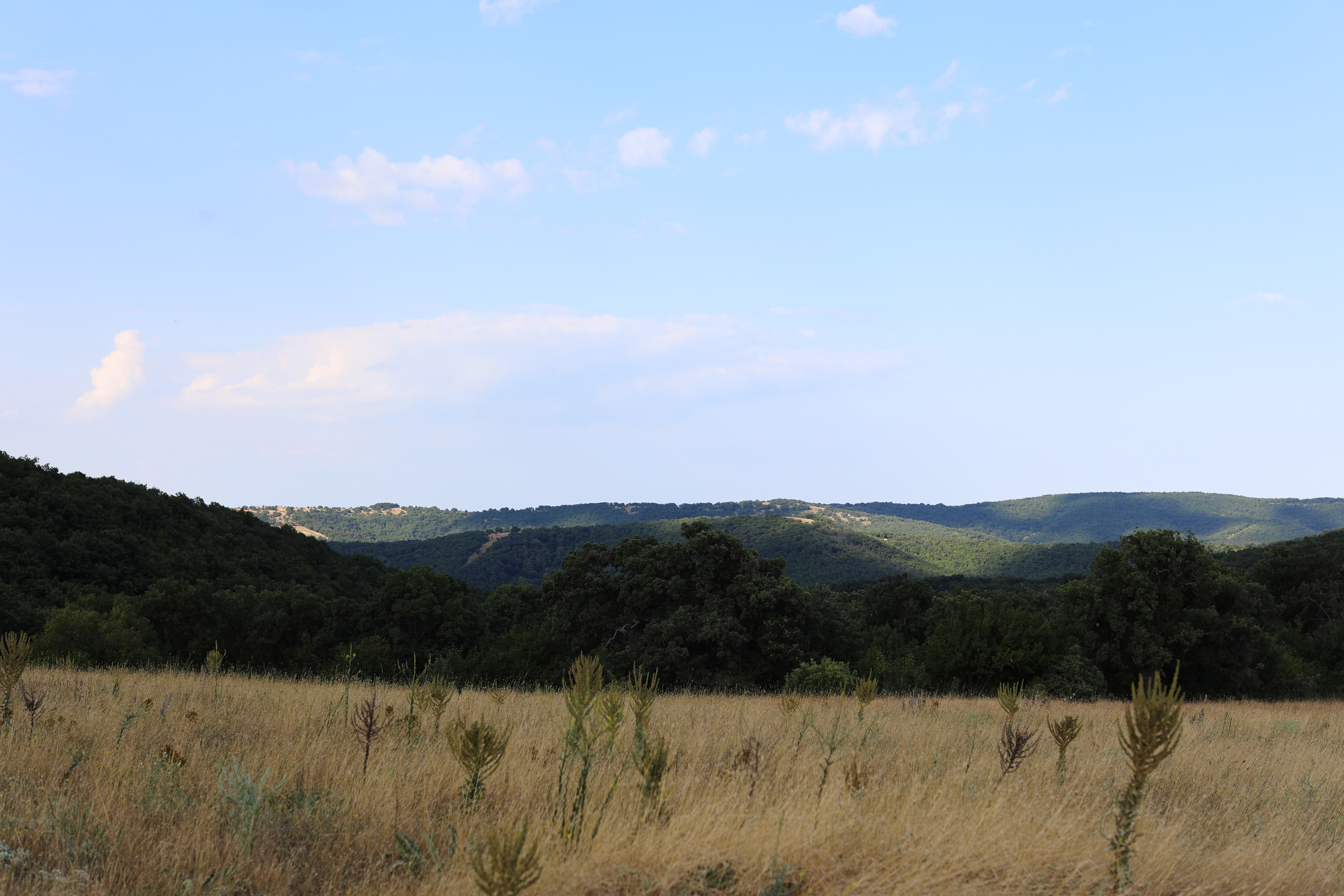 Болгария. Горы / 2022. Репортажный и портретный фотограф Русакова Жанна