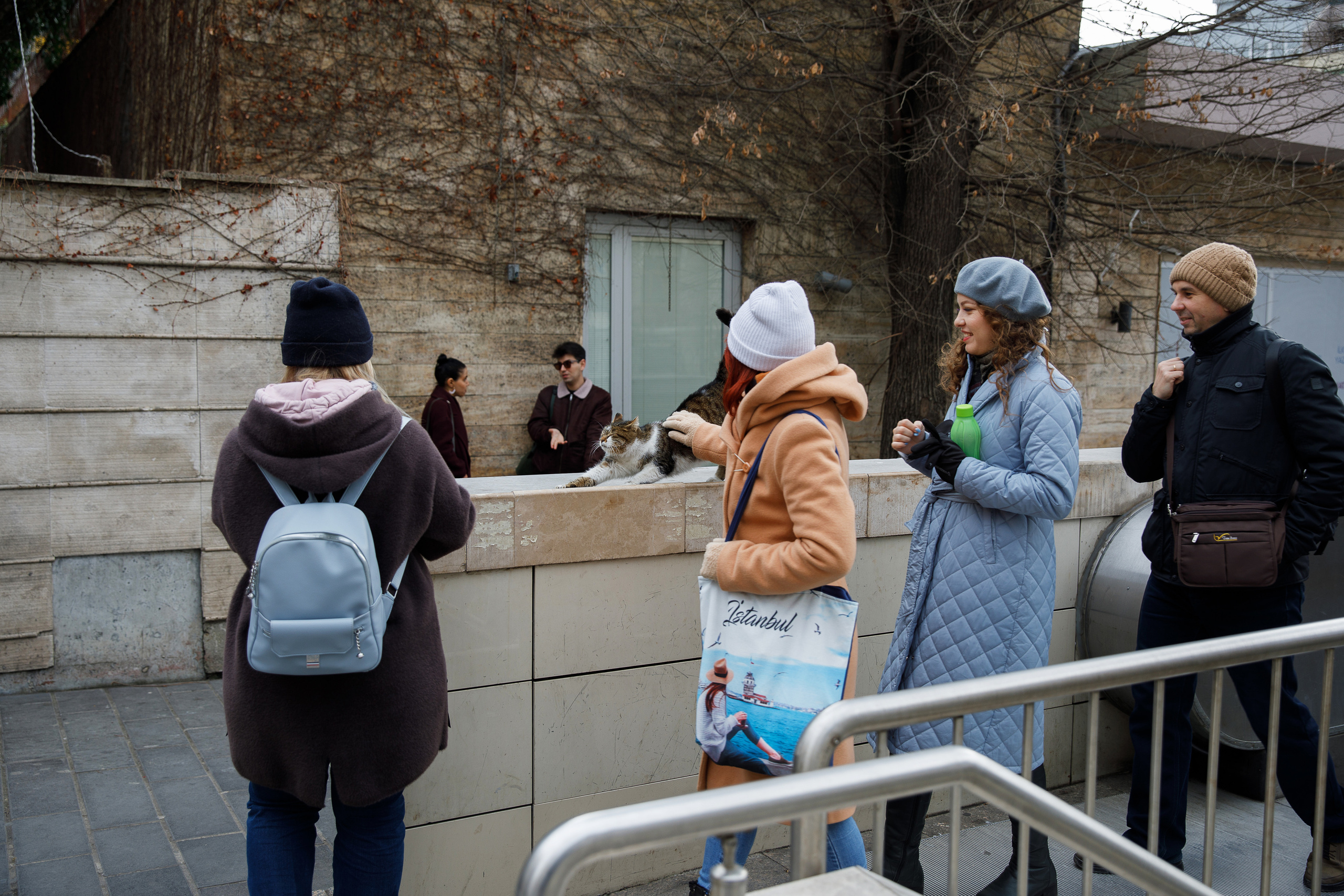 Стамбул. Город кошек. Репортажный и портретный фотограф Русакова Жанна