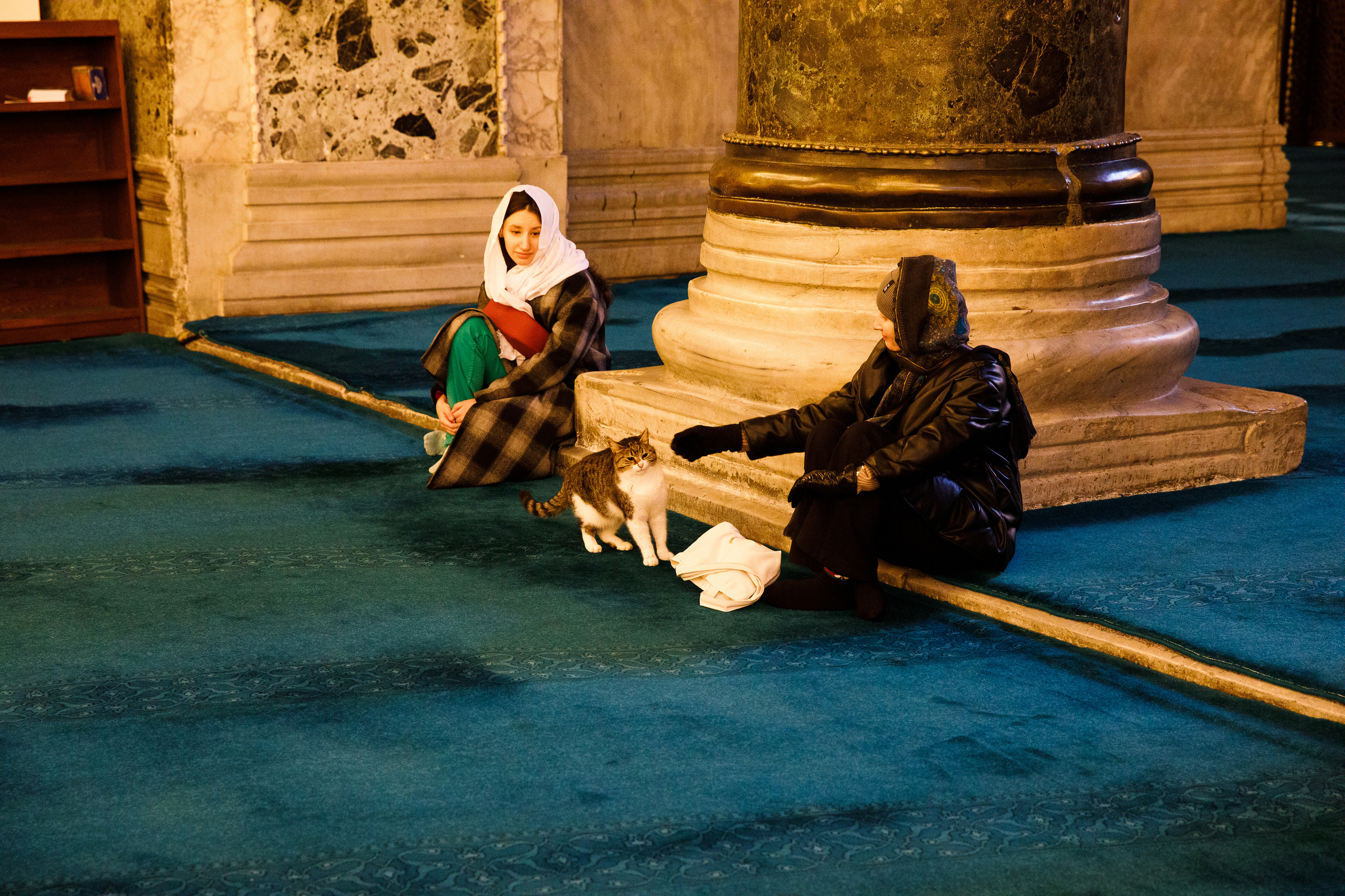 Стамбул. Город кошек. Репортажный и портретный фотограф Русакова Жанна