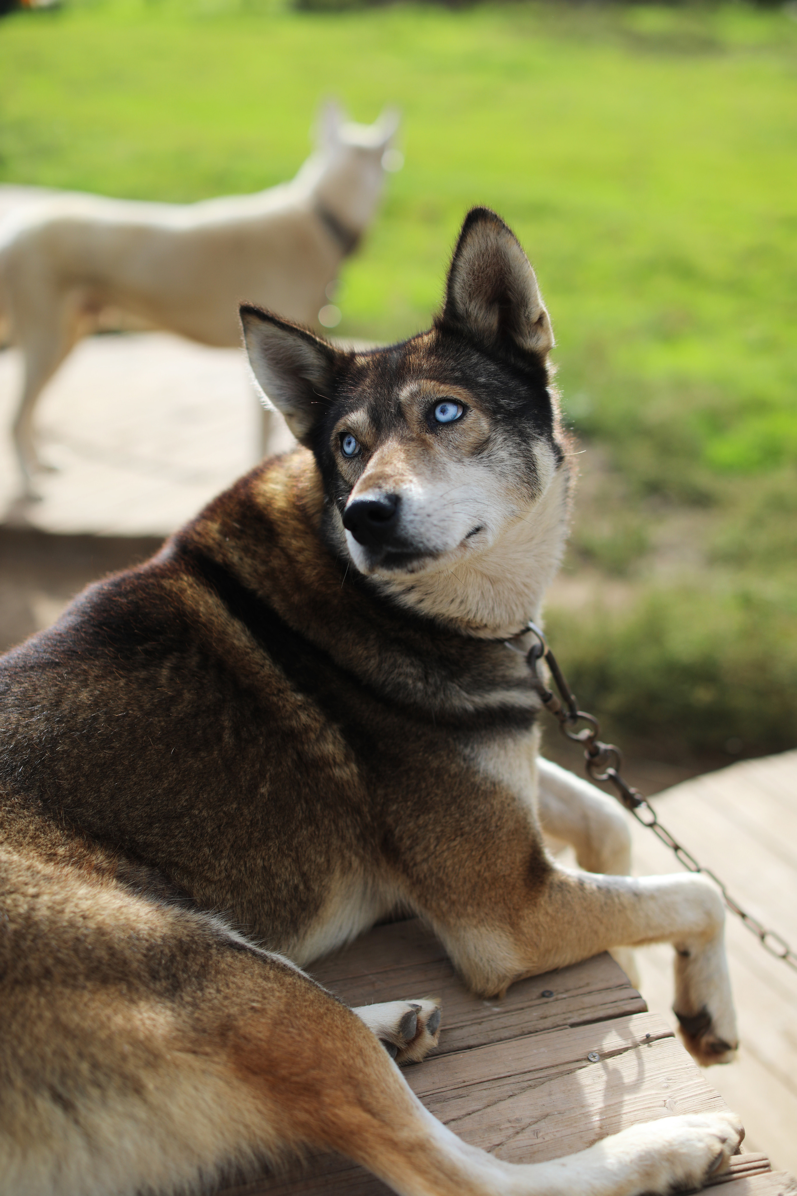 Камчатка. Кайнаран этноцентр. Репортажный и портретный фотограф Русакова Жанна