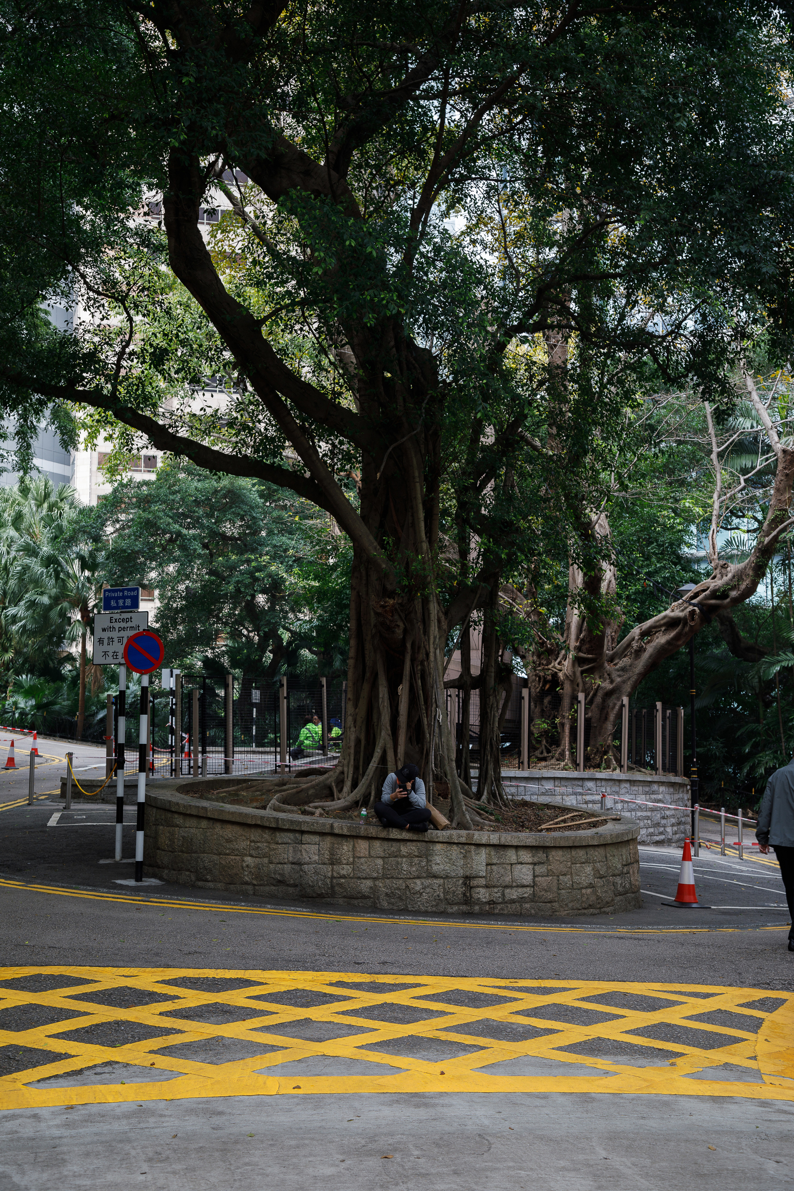 Гон Конг. Город желтых линий. Репортажный и портретный фотограф Русакова Жанна