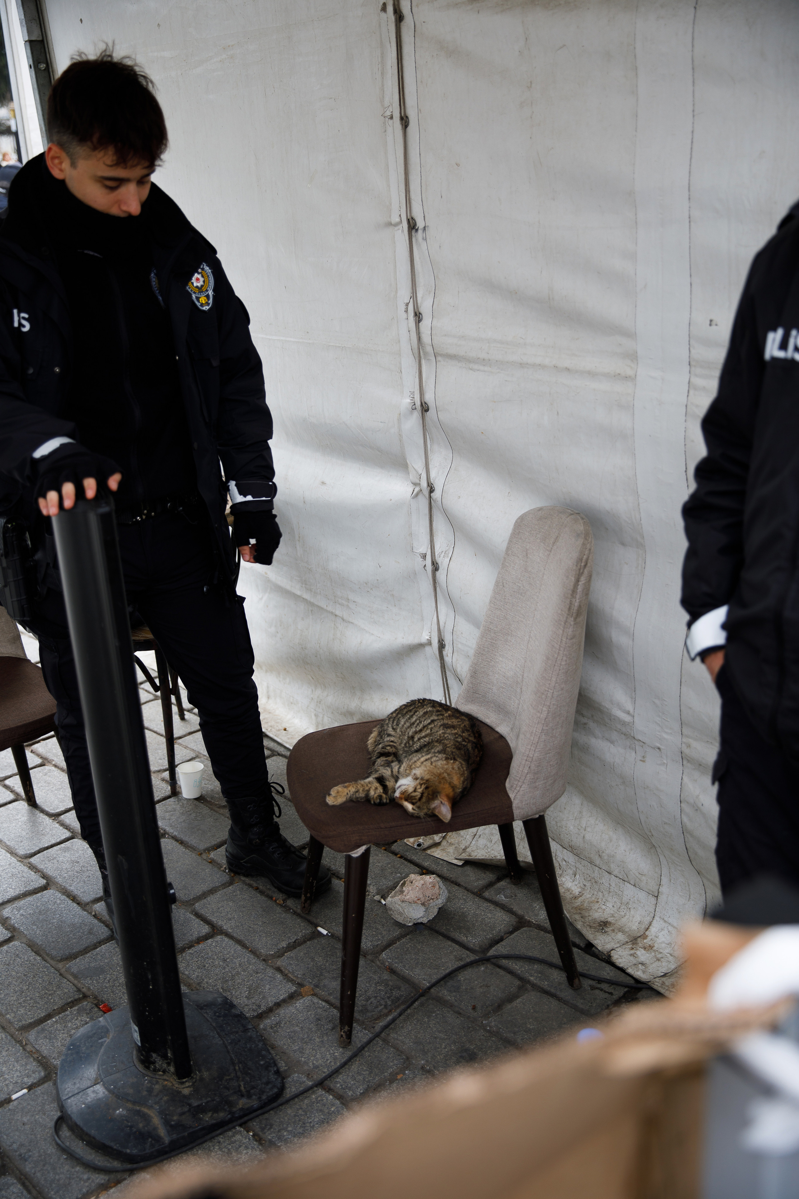 Стамбул. Город кошек. Репортажный и портретный фотограф Русакова Жанна