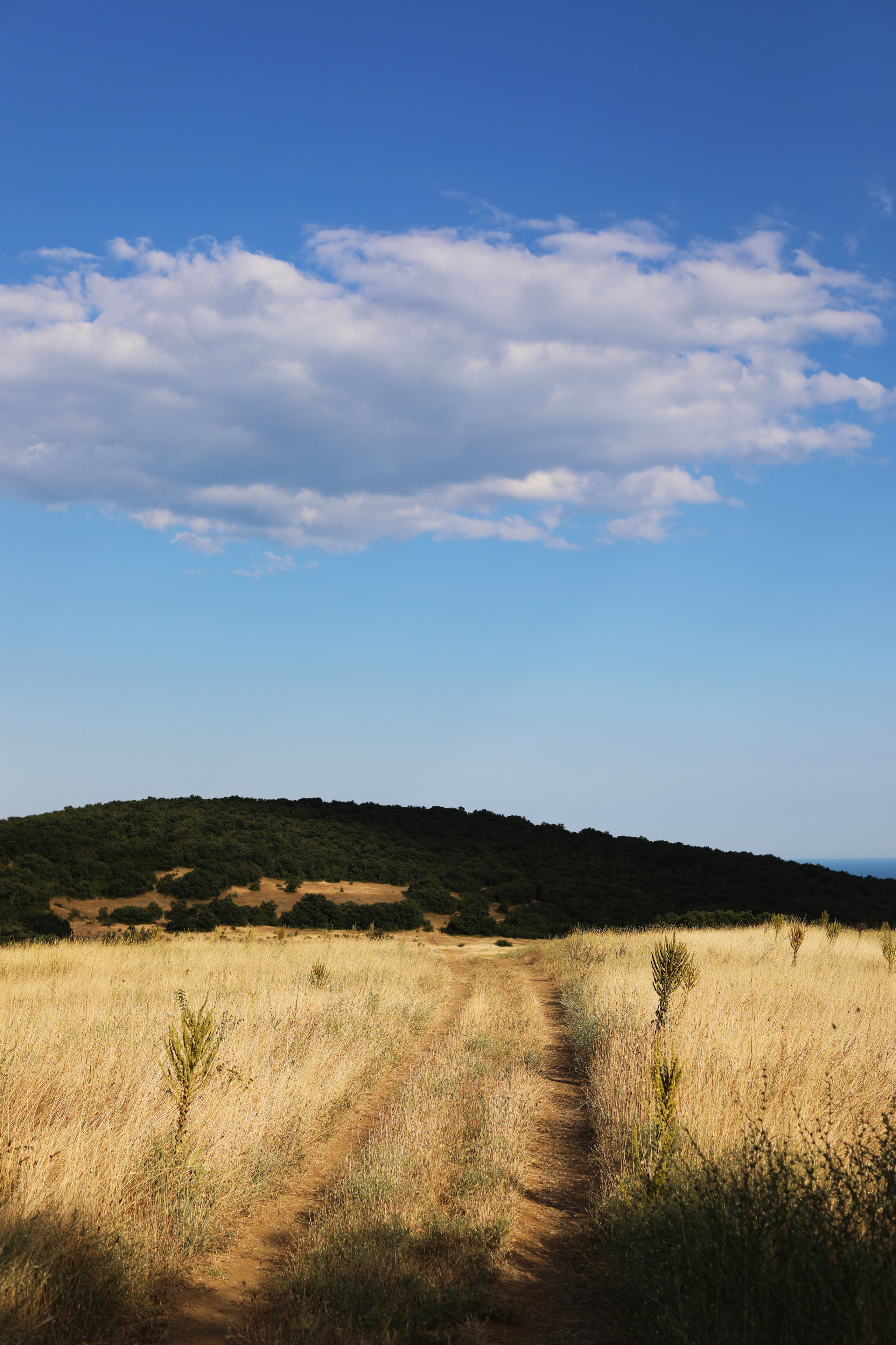 Болгария. Горы / 2022. Репортажный и портретный фотограф Русакова Жанна