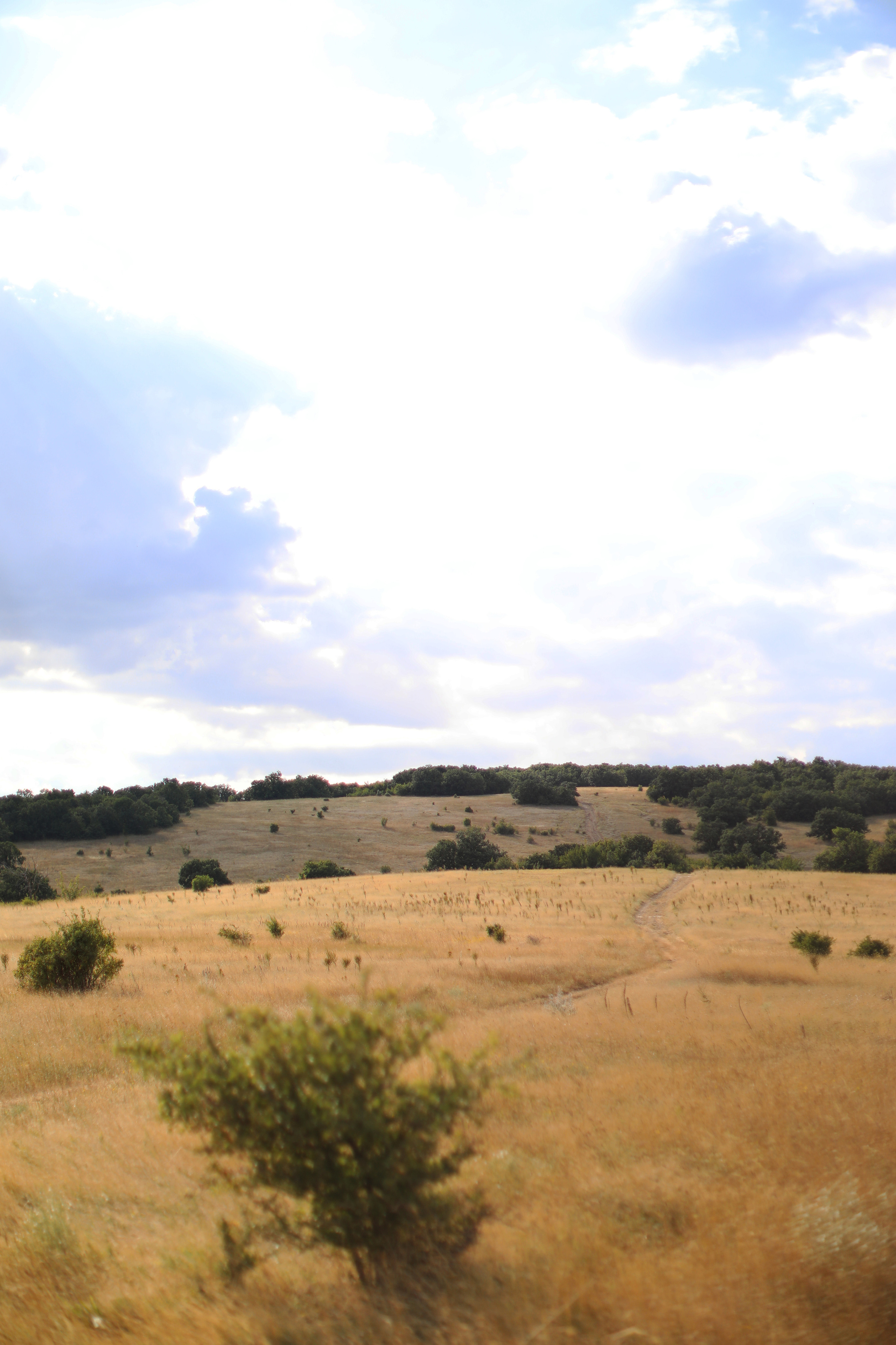 Болгария. Горы / 2022. Репортажный и портретный фотограф Русакова Жанна