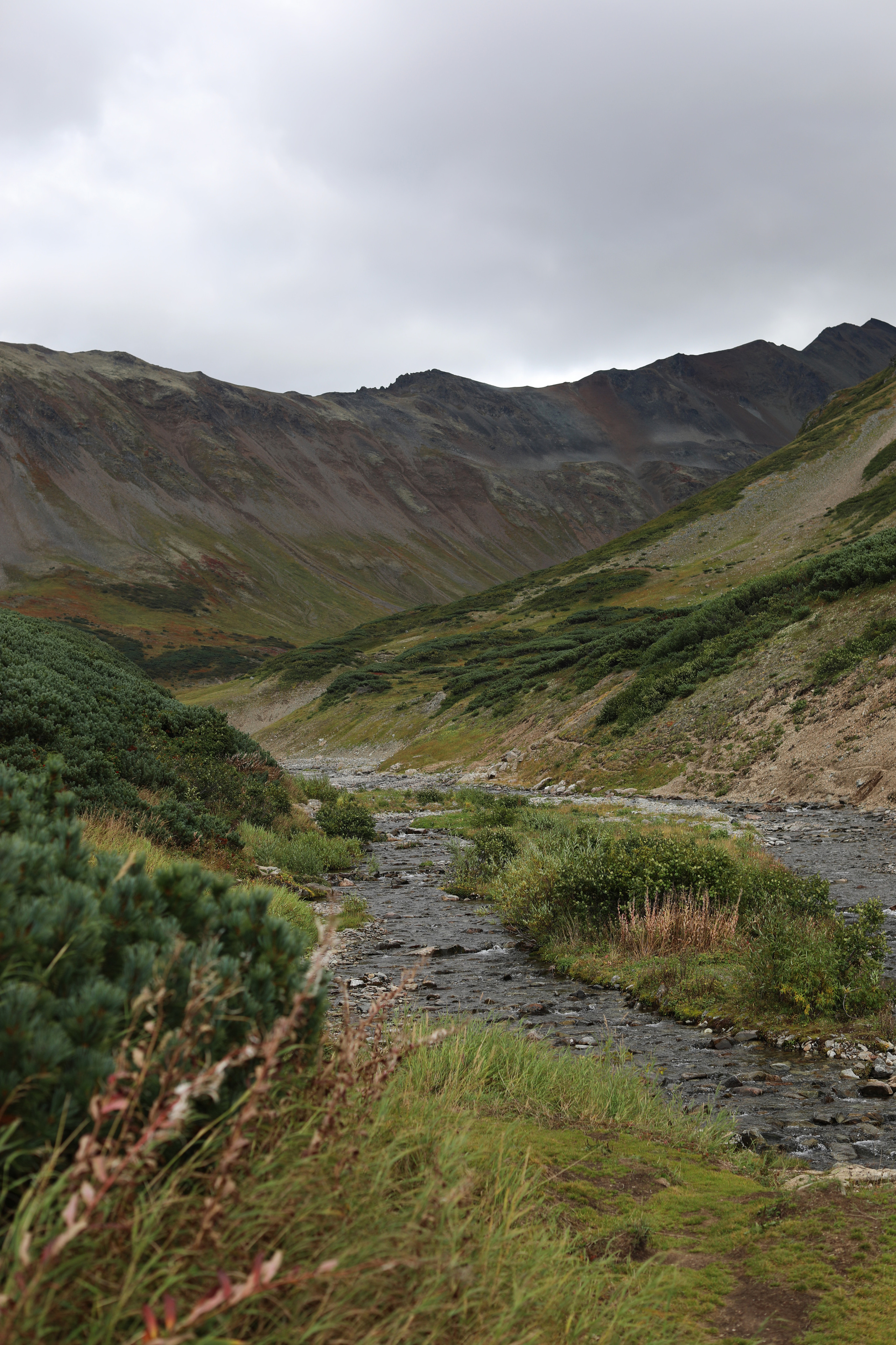 Камчатка. Вачкажец. Репортажный и портретный фотограф Русакова Жанна