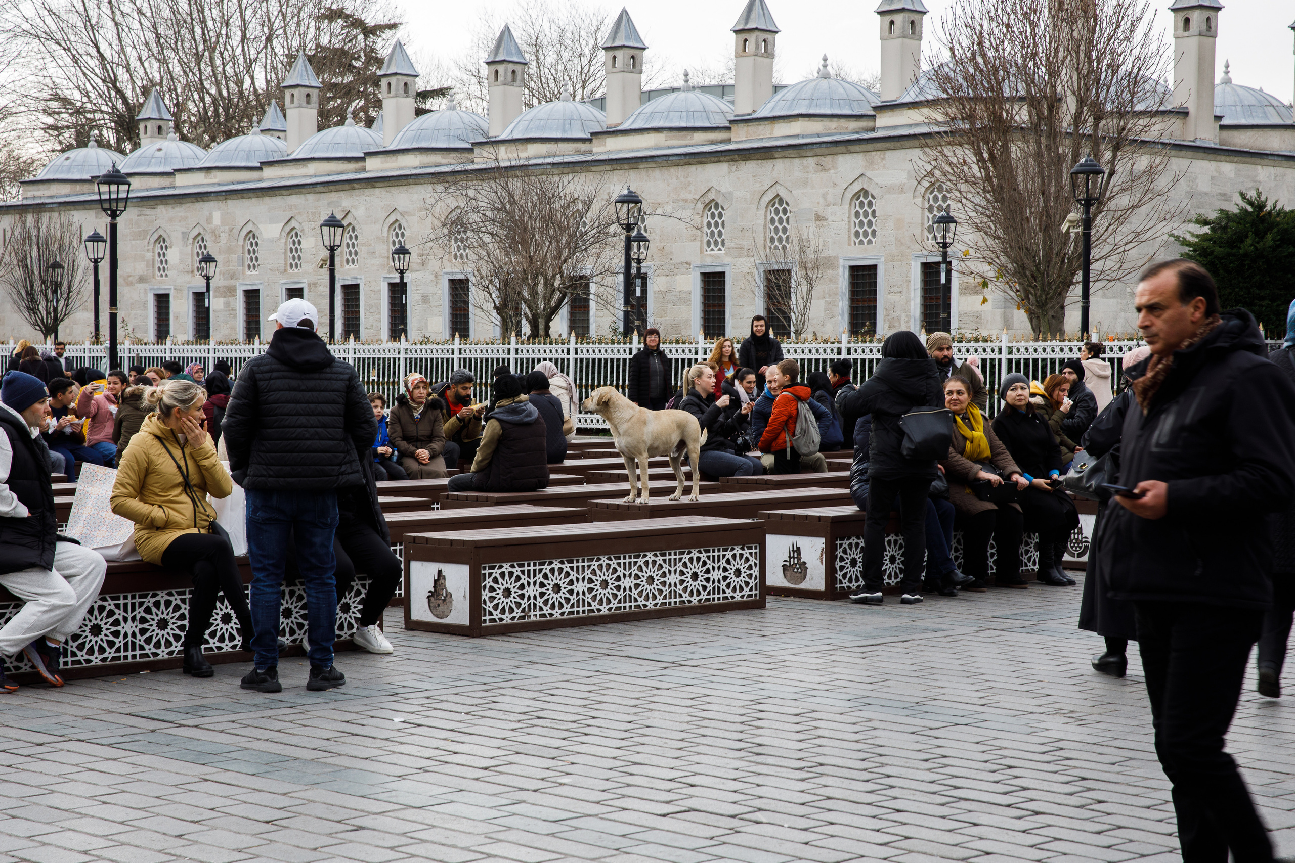 Стамбул. Быт. Репортажный и портретный фотограф Русакова Жанна