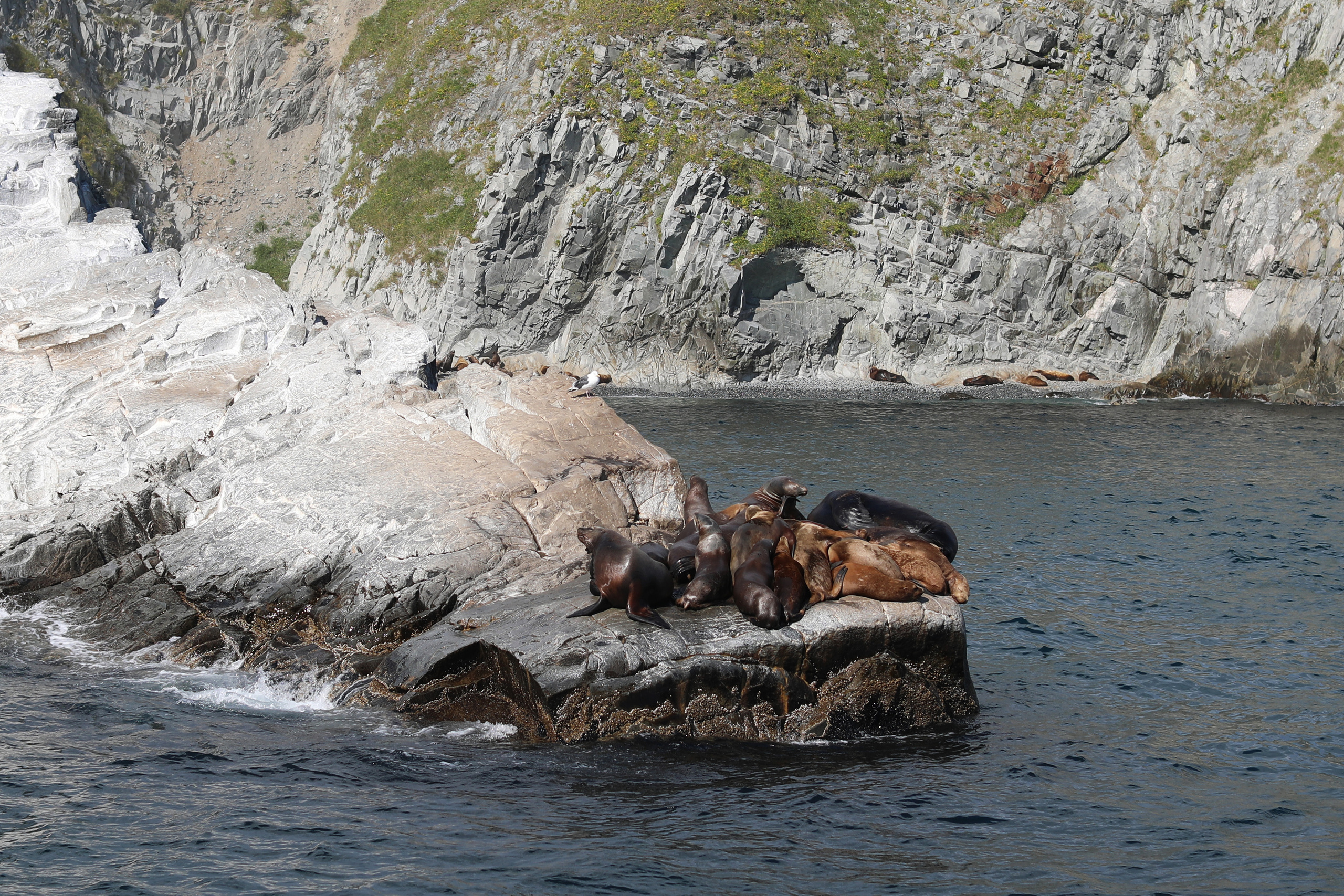 Камчатка. Океан. Репортажный и портретный фотограф Русакова Жанна