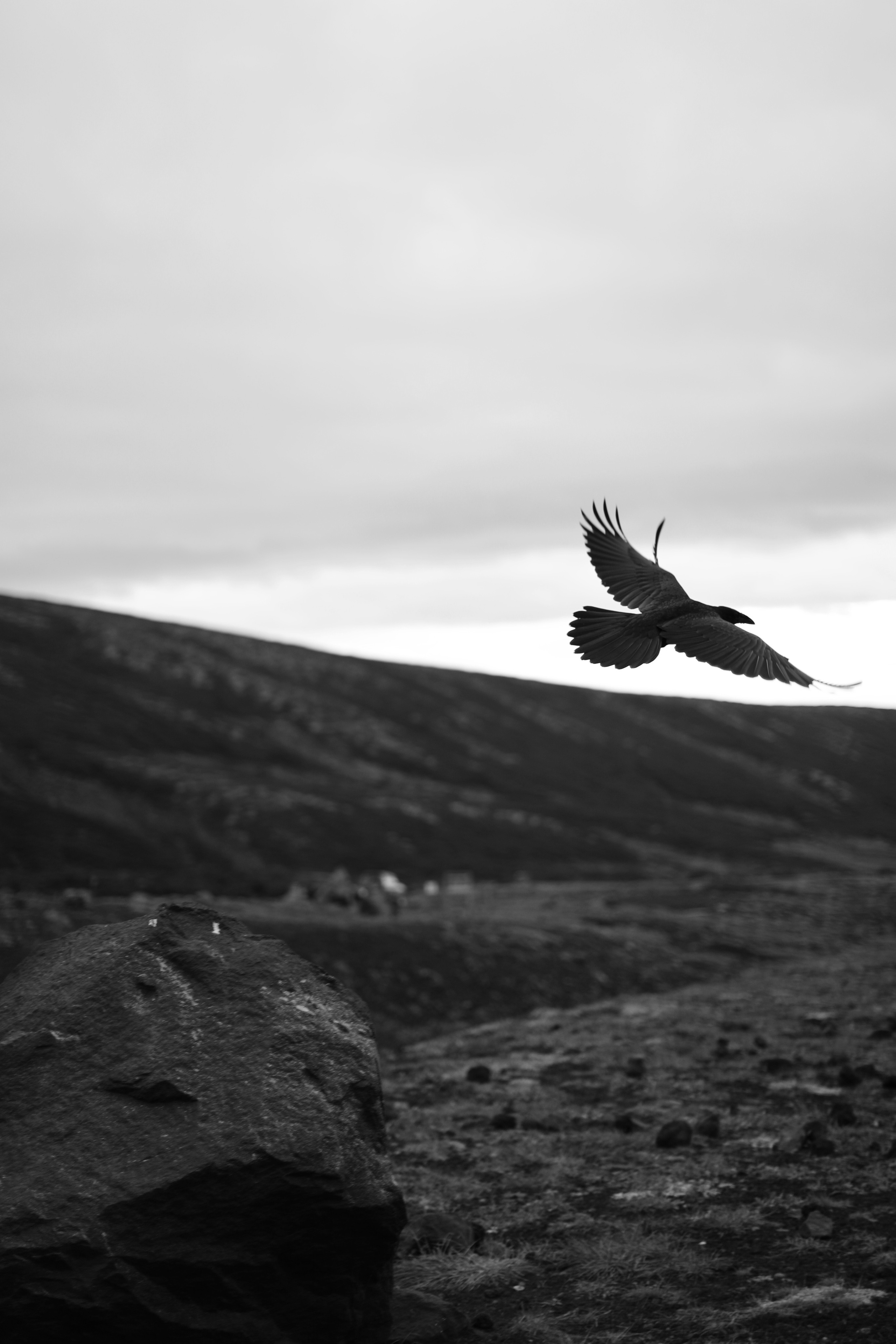 Камчатка. Авачинский перевал. Репортажный и портретный фотограф Русакова Жанна