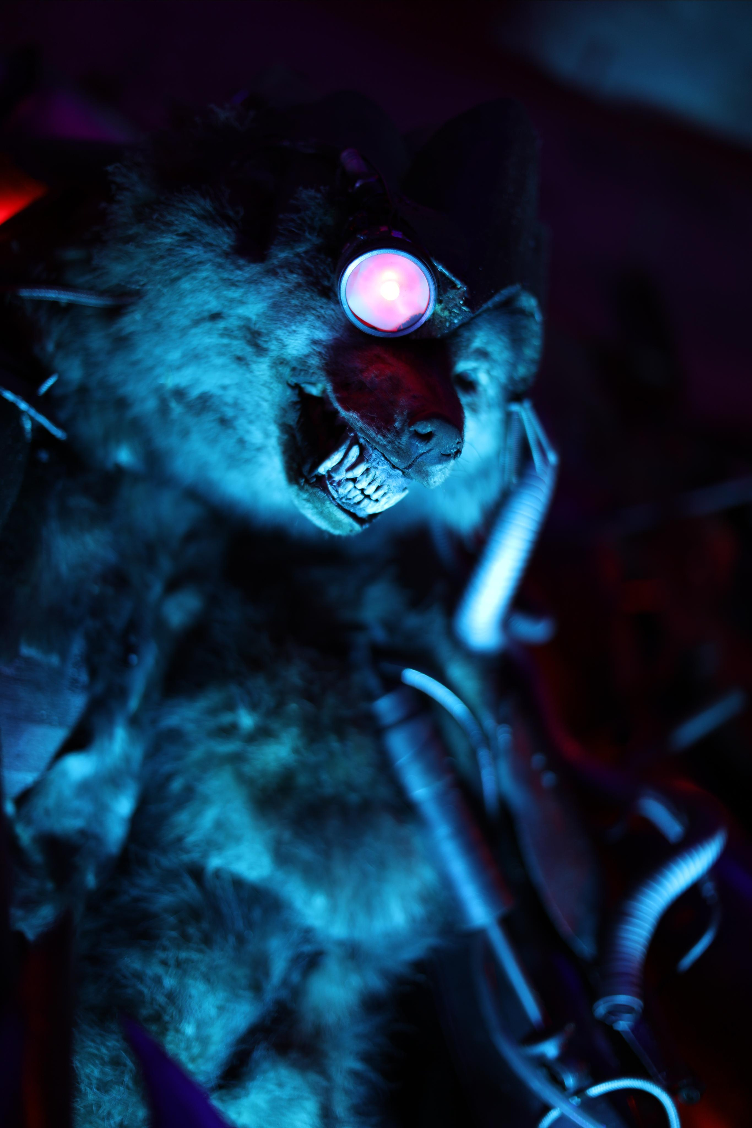 Bike Center Sextone / 2022. Репортажный и портретный фотограф Русакова Жанна