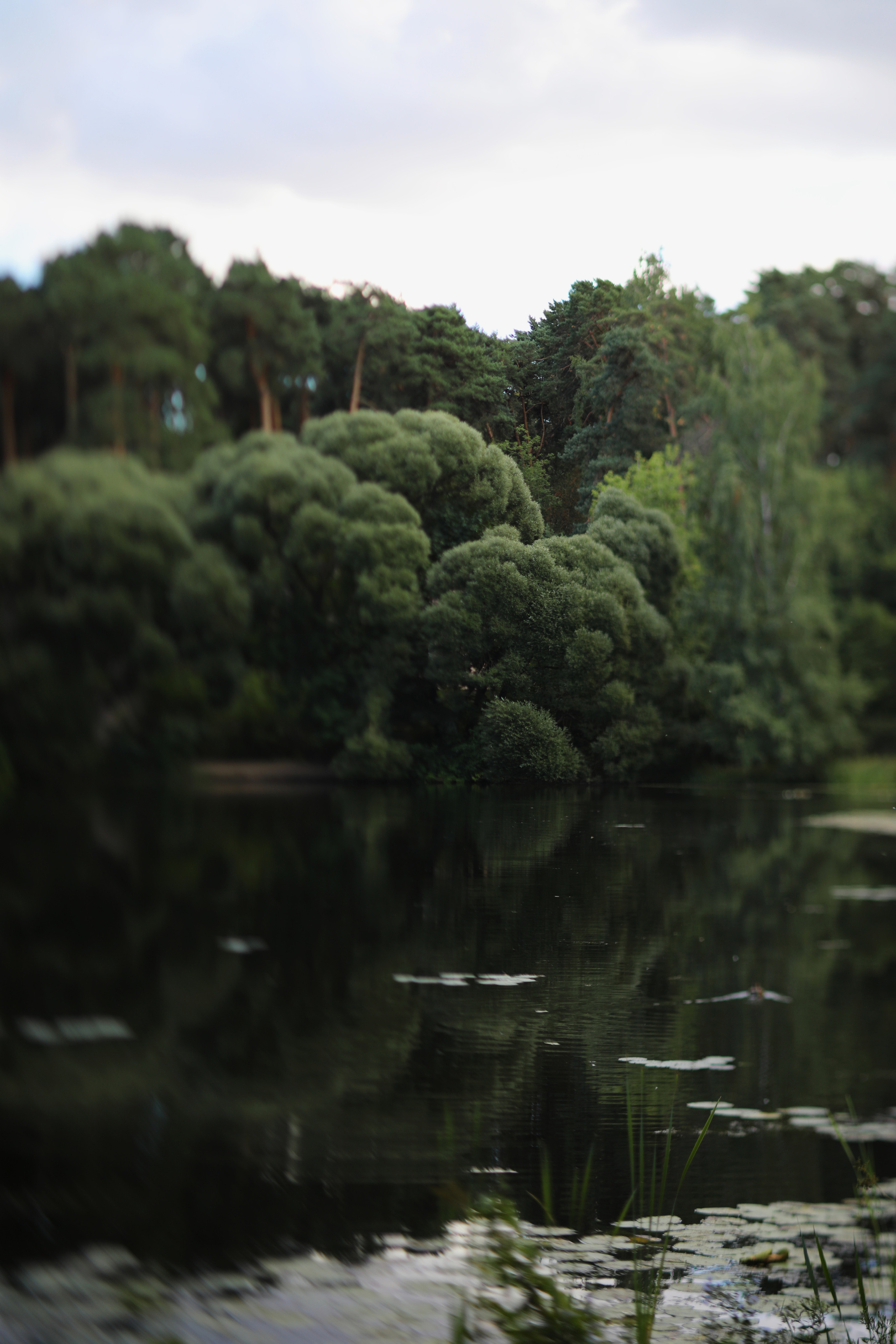 Серебряный бор / 2022. Репортажный и портретный фотограф Русакова Жанна