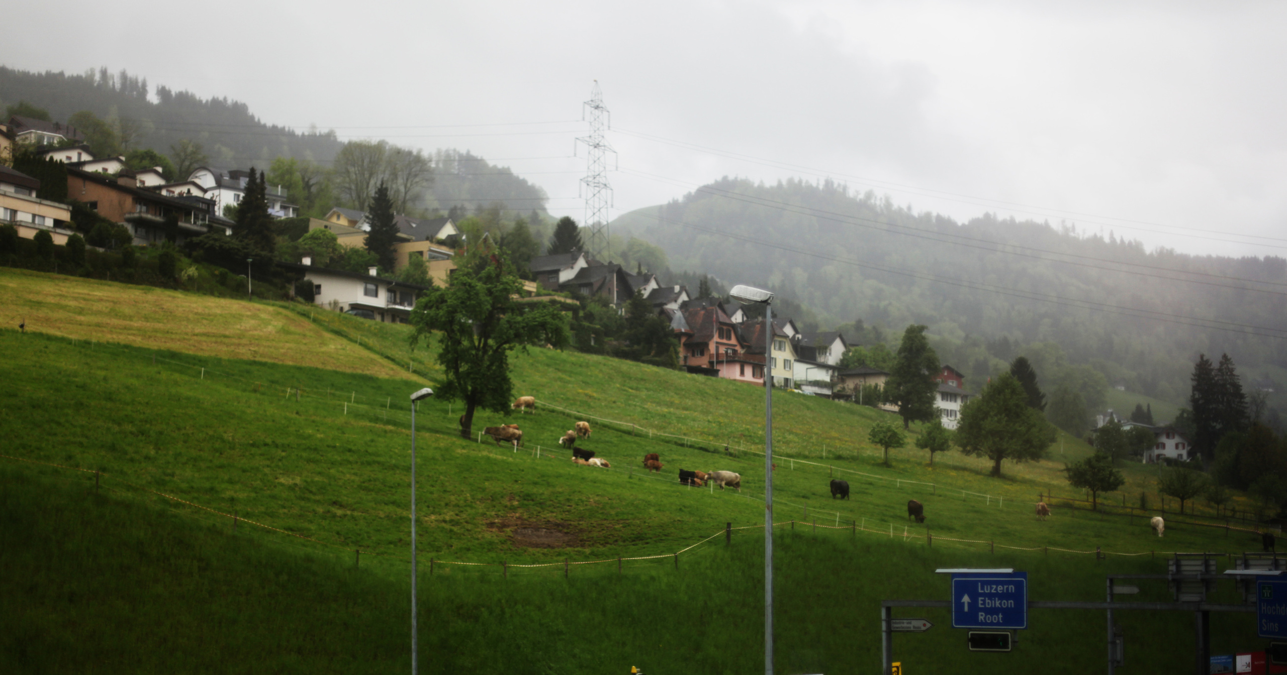 Швейцария / 2012. Репортажный и портретный фотограф Русакова Жанна