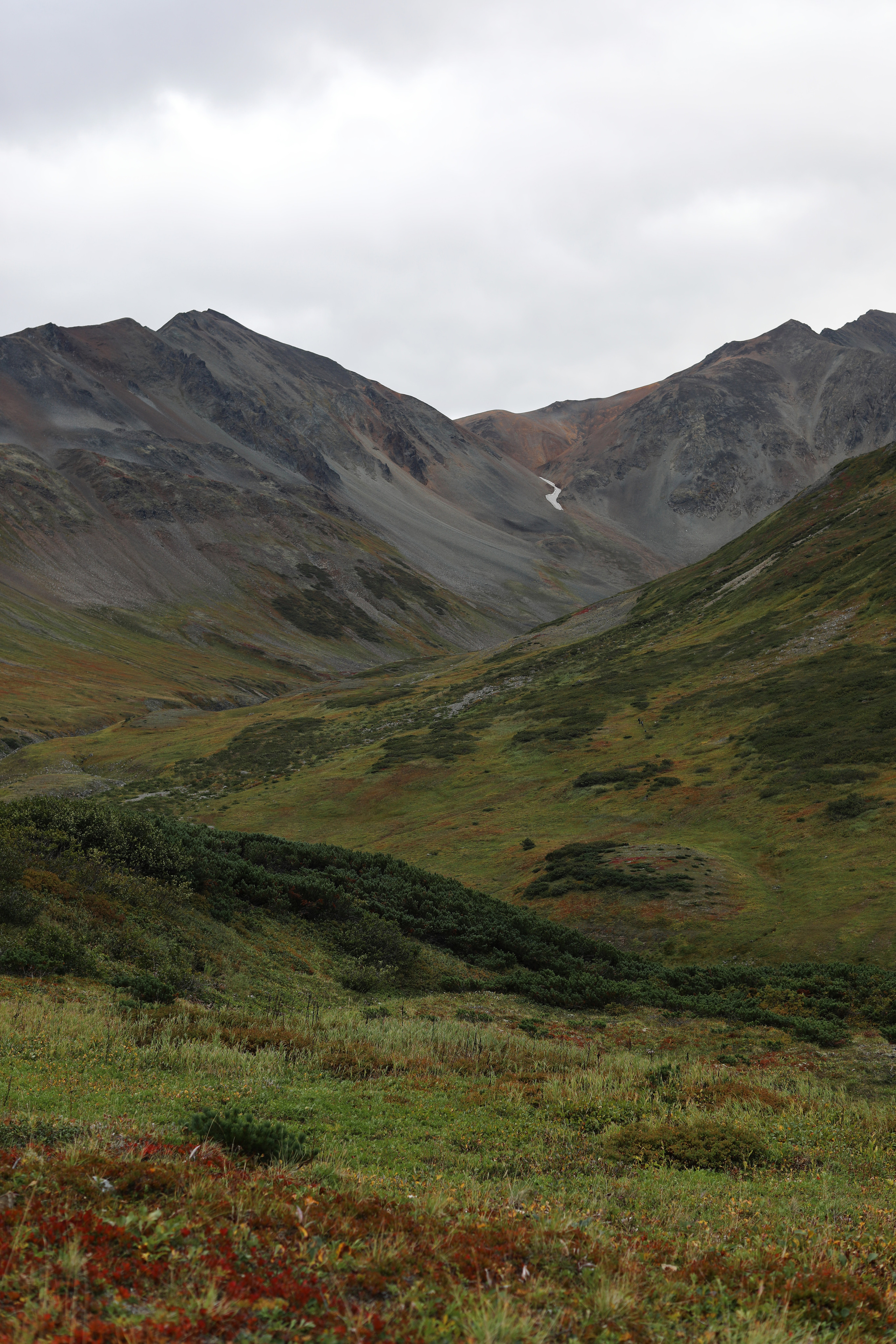 Камчатка. Вачкажец. Репортажный и портретный фотограф Русакова Жанна