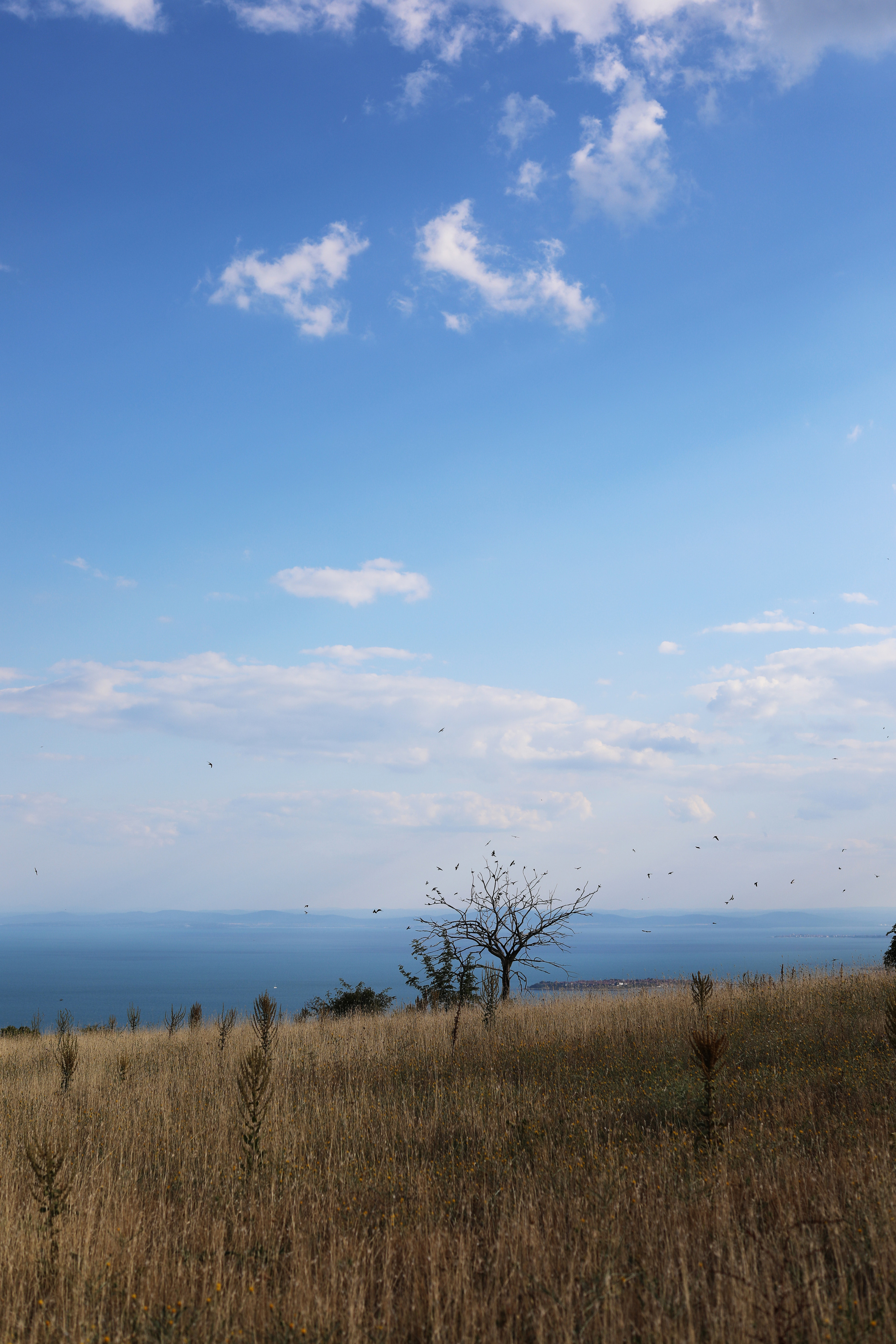 Болгария. Горы / 2022. Репортажный и портретный фотограф Русакова Жанна