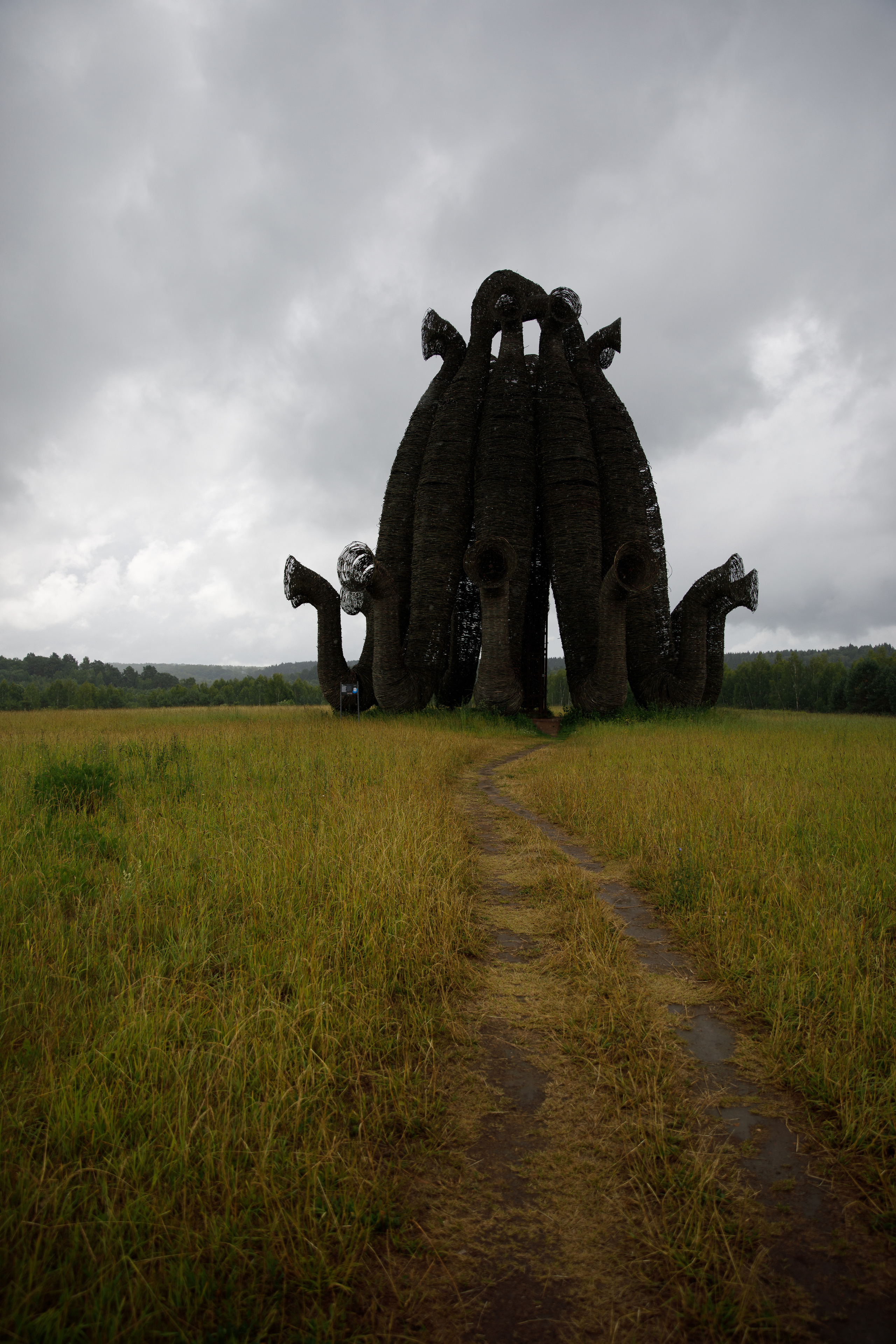Никола Ленивец / июнь 2023. Репортажный и портретный фотограф Русакова Жанна