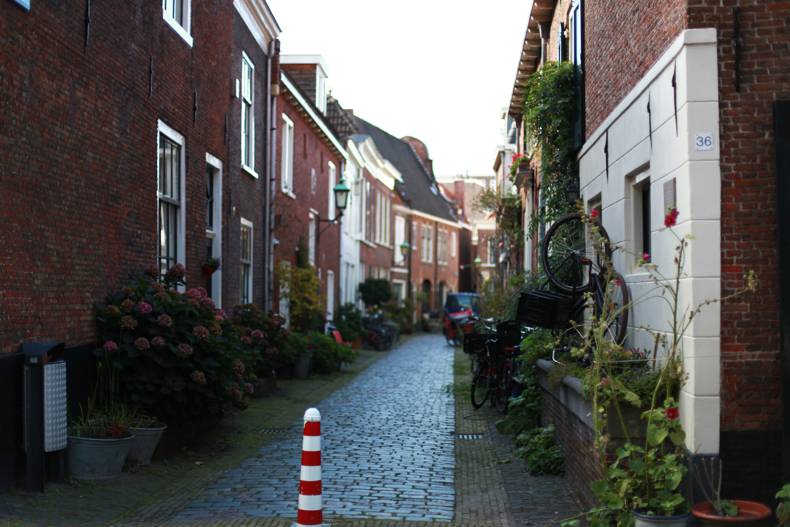 Голландия / 2017. Репортажный и портретный фотограф Русакова Жанна