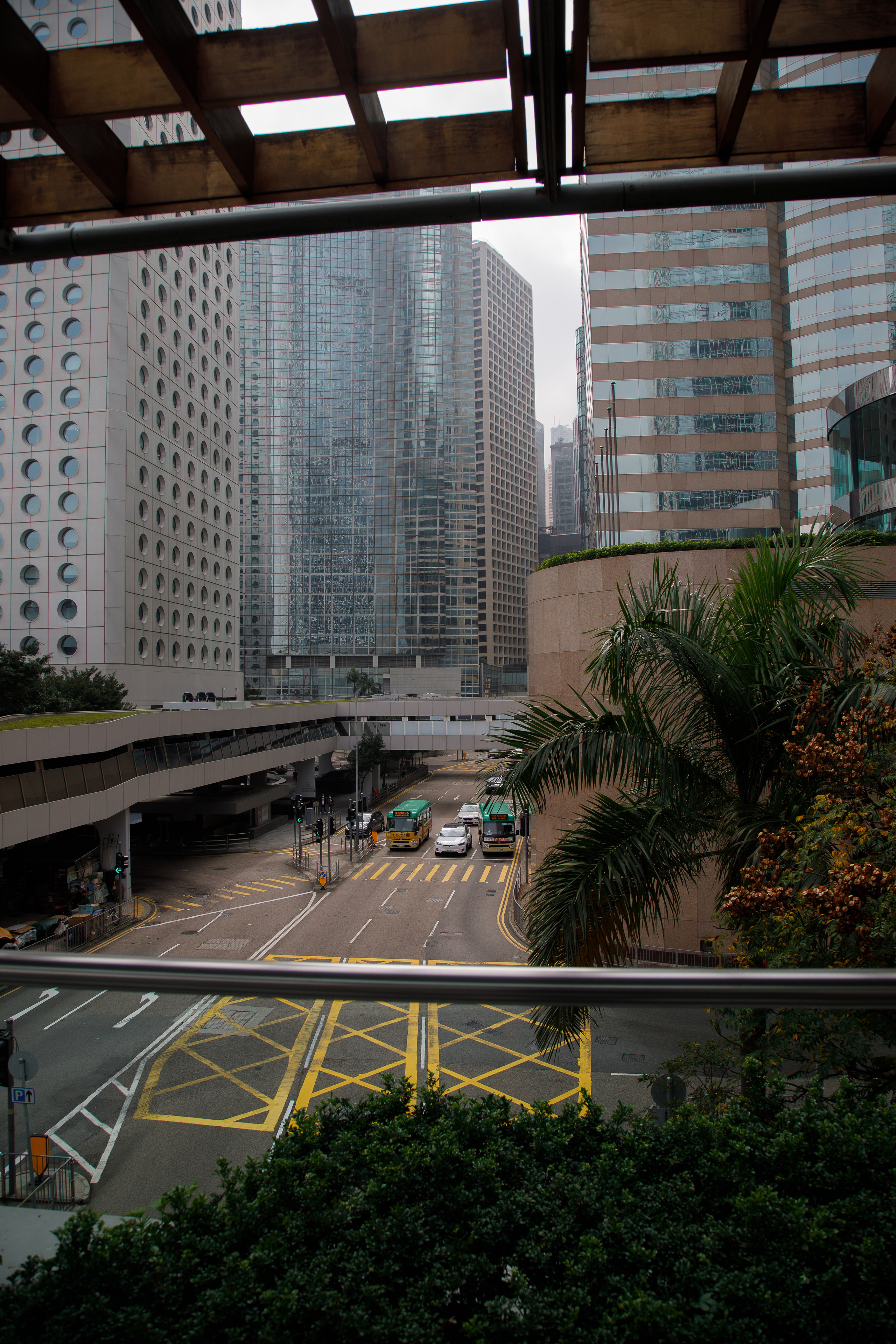 Гон Конг. Зеленый город. Репортажный и портретный фотограф Русакова Жанна