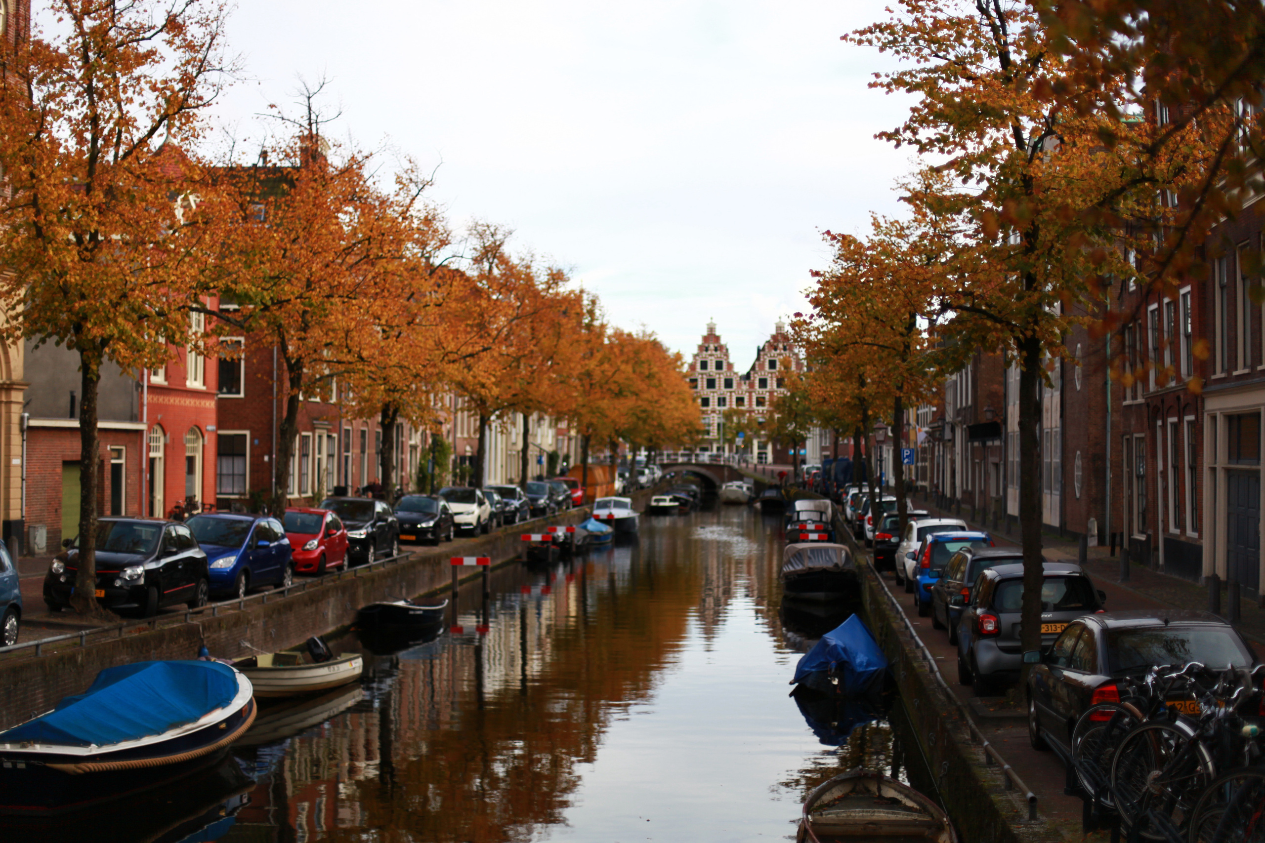 Голландия / 2017. Репортажный и портретный фотограф Русакова Жанна
