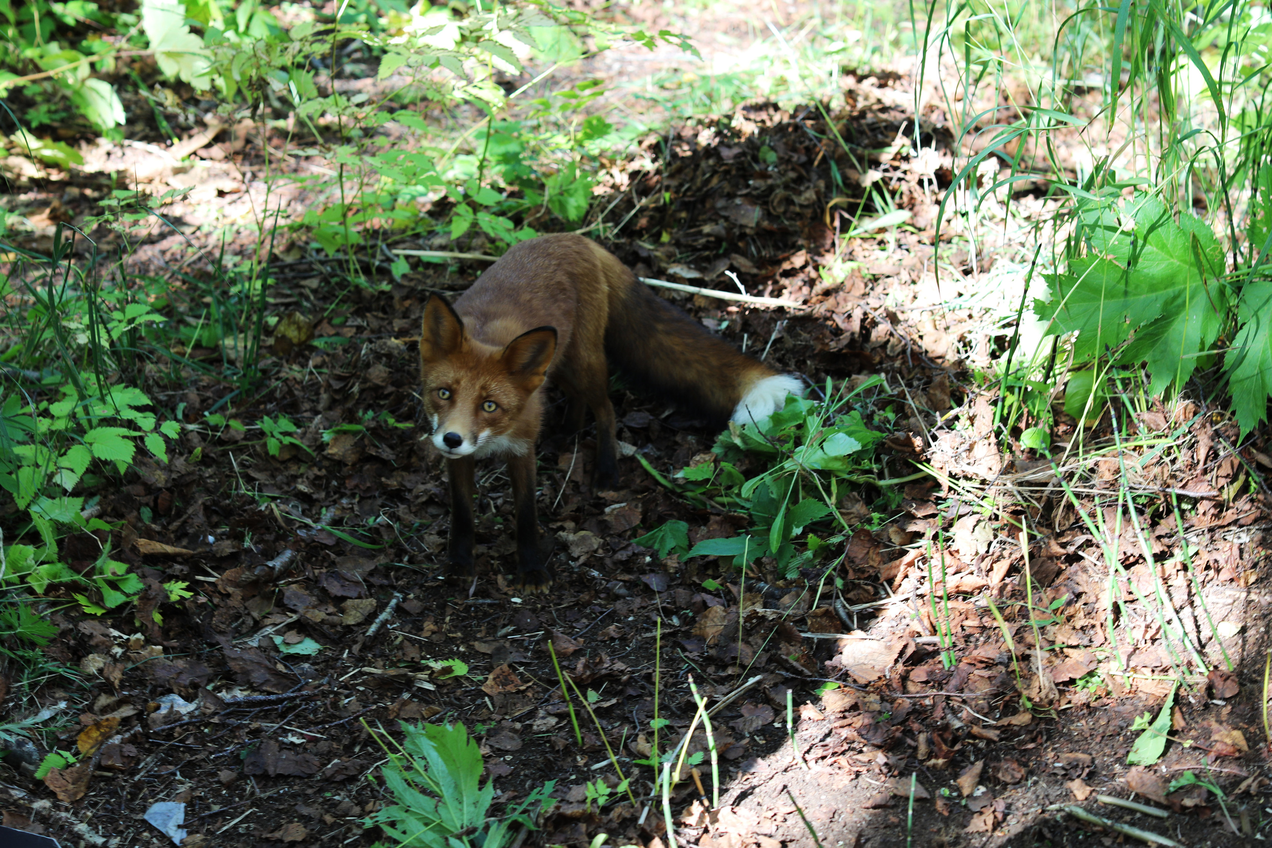 Камчатка. Халактырский пляж. Петропавловск-Камчатский. Репортажный и портретный фотограф Русакова Жанна