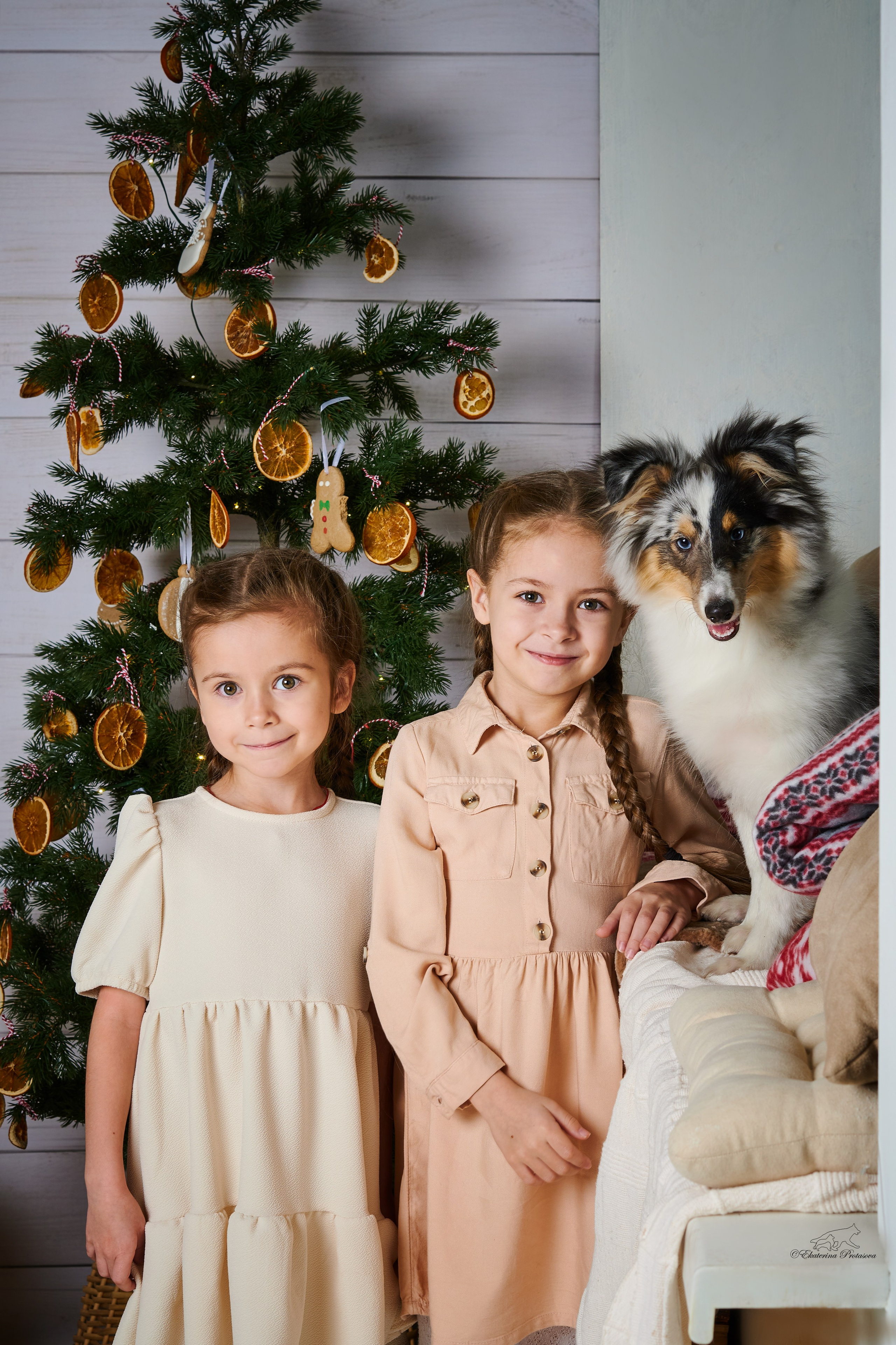 Джек и его семья. Фотограф-анималист в Иркутске