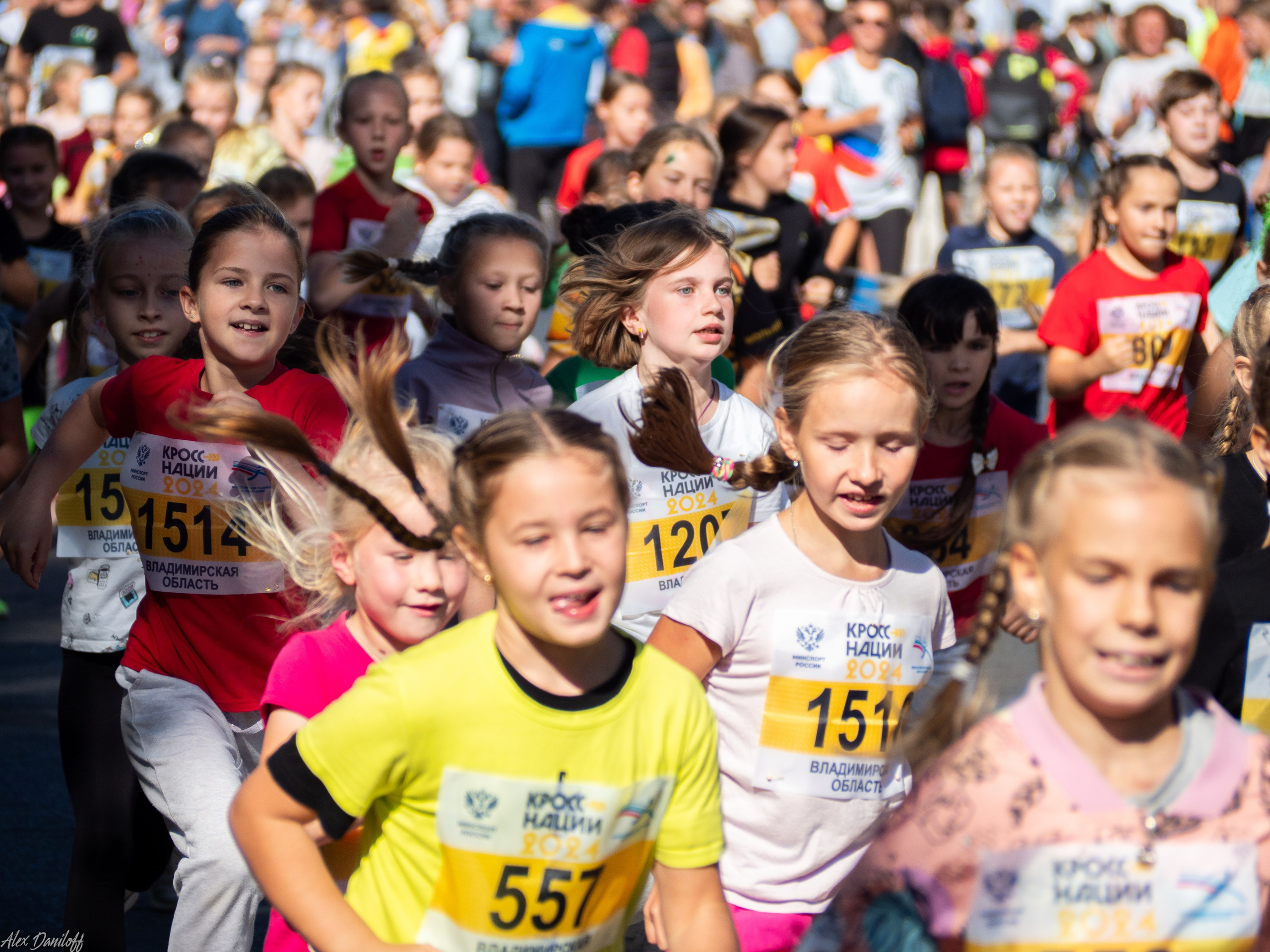 Кросс нации 2024. Муром-Инфо. Новости культуры, образования, спорта в городе Муром