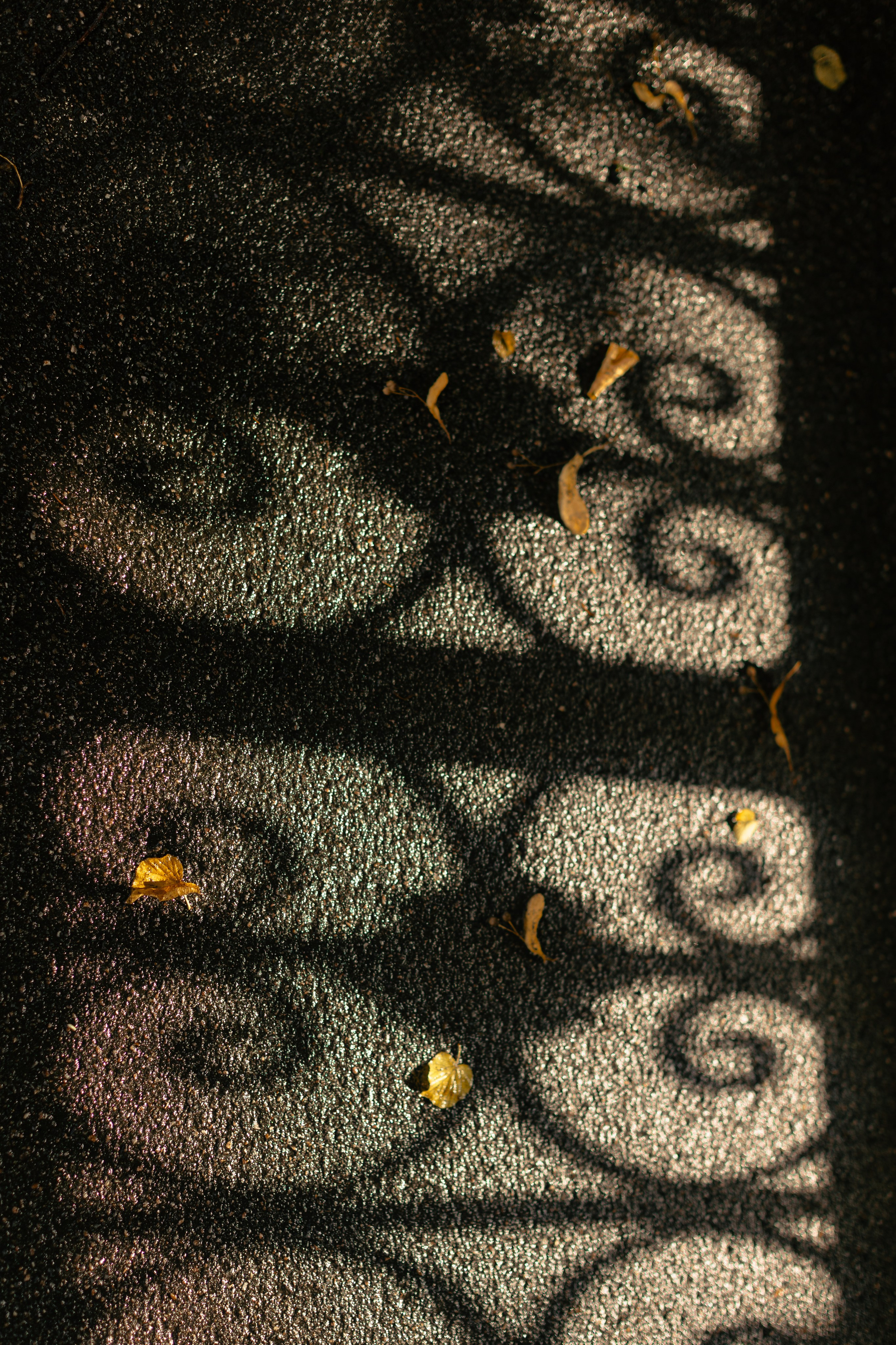 Денис и Ольга. @dariazphoto свадебный фотограф