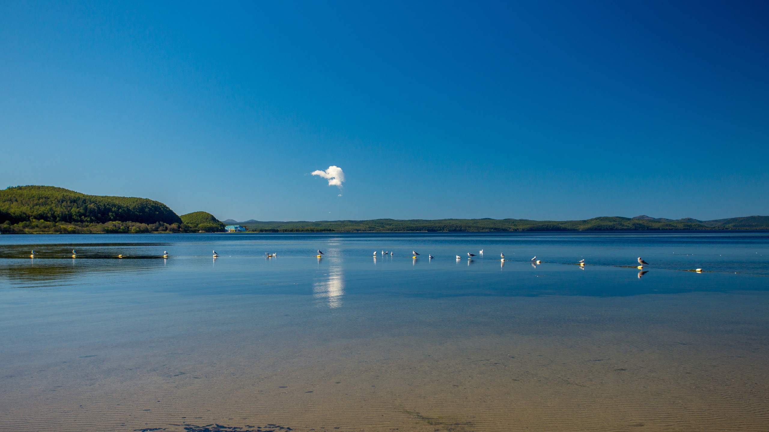О.Сахалин. Фотограф. г. Южно-Сахалинск. Олег Толстов