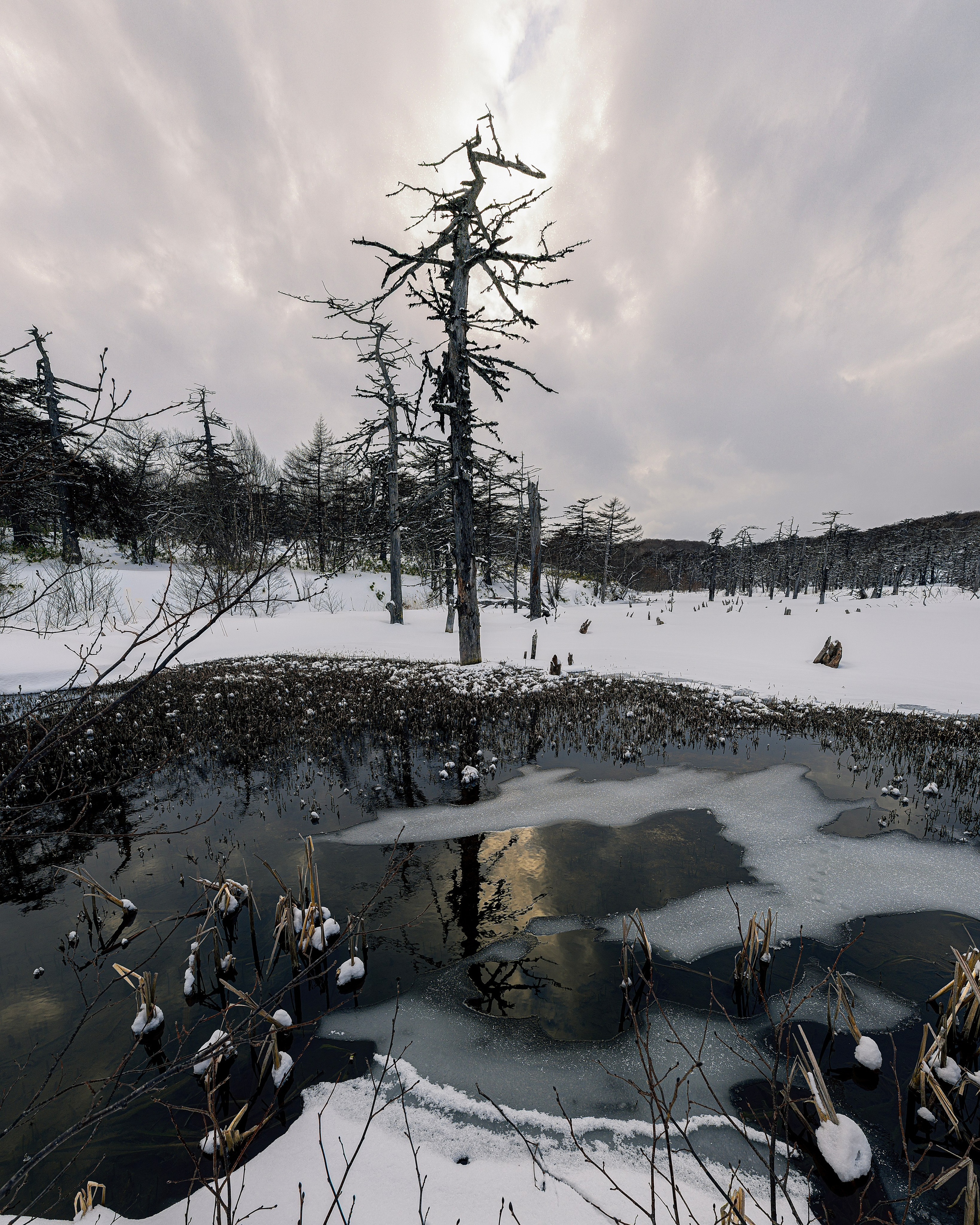 Курильские острова. Портретный фотограф в Челябинске Катерина Руди