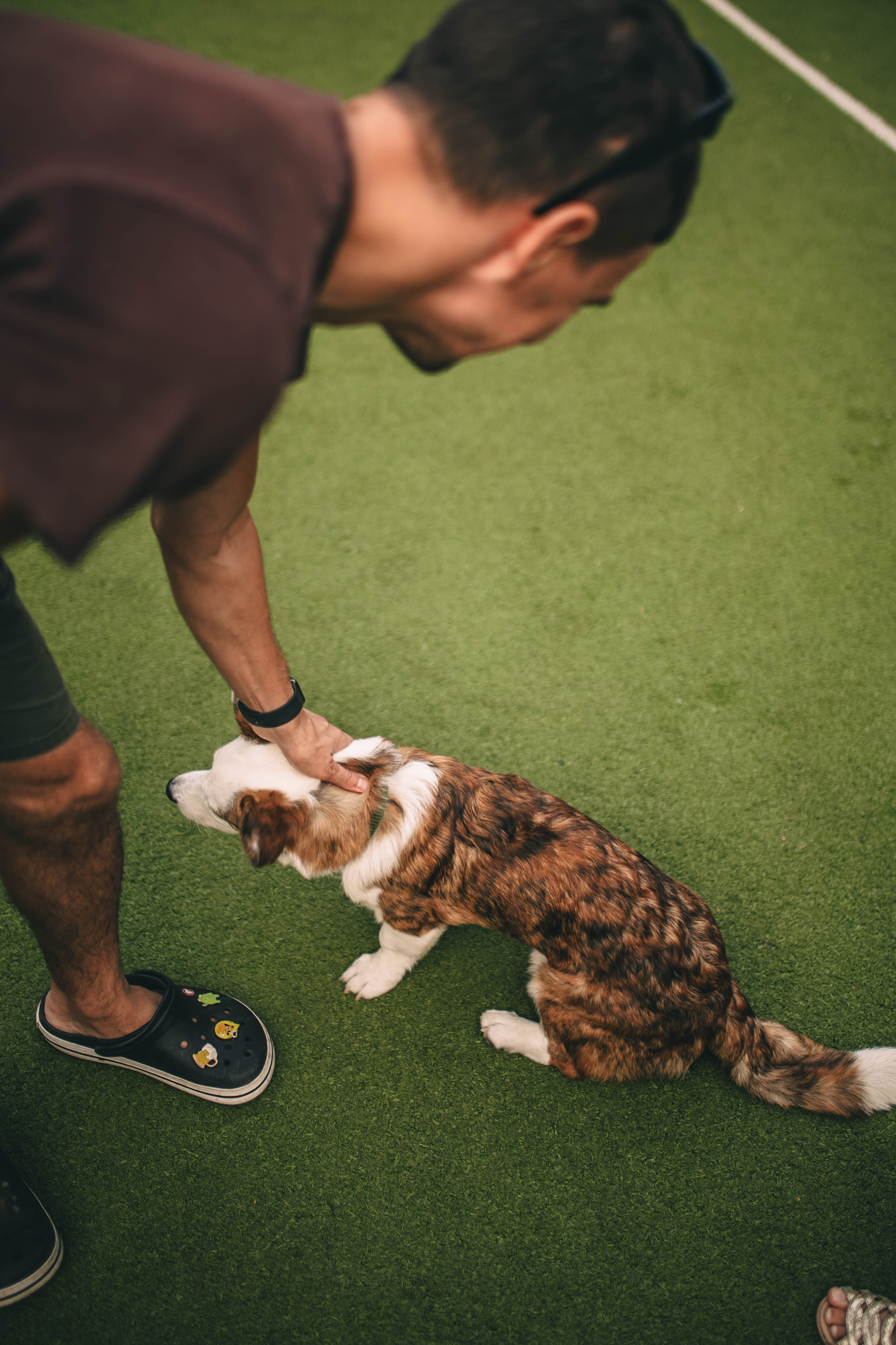 Pet-Party + Live-music |Парк Культуры. Фотограф в Ставрополе Алина Клочкова