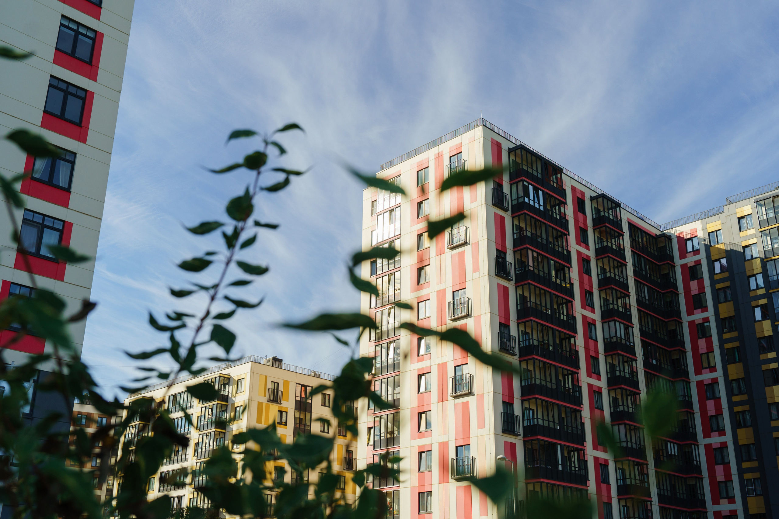 ЖК Янила. Асхат Бардынов