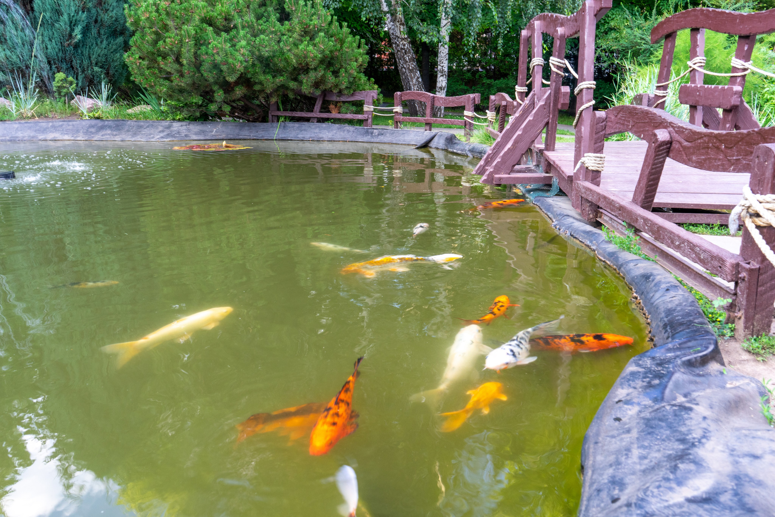 Виды Саратова. Авторские фотографии Чугунова Николая