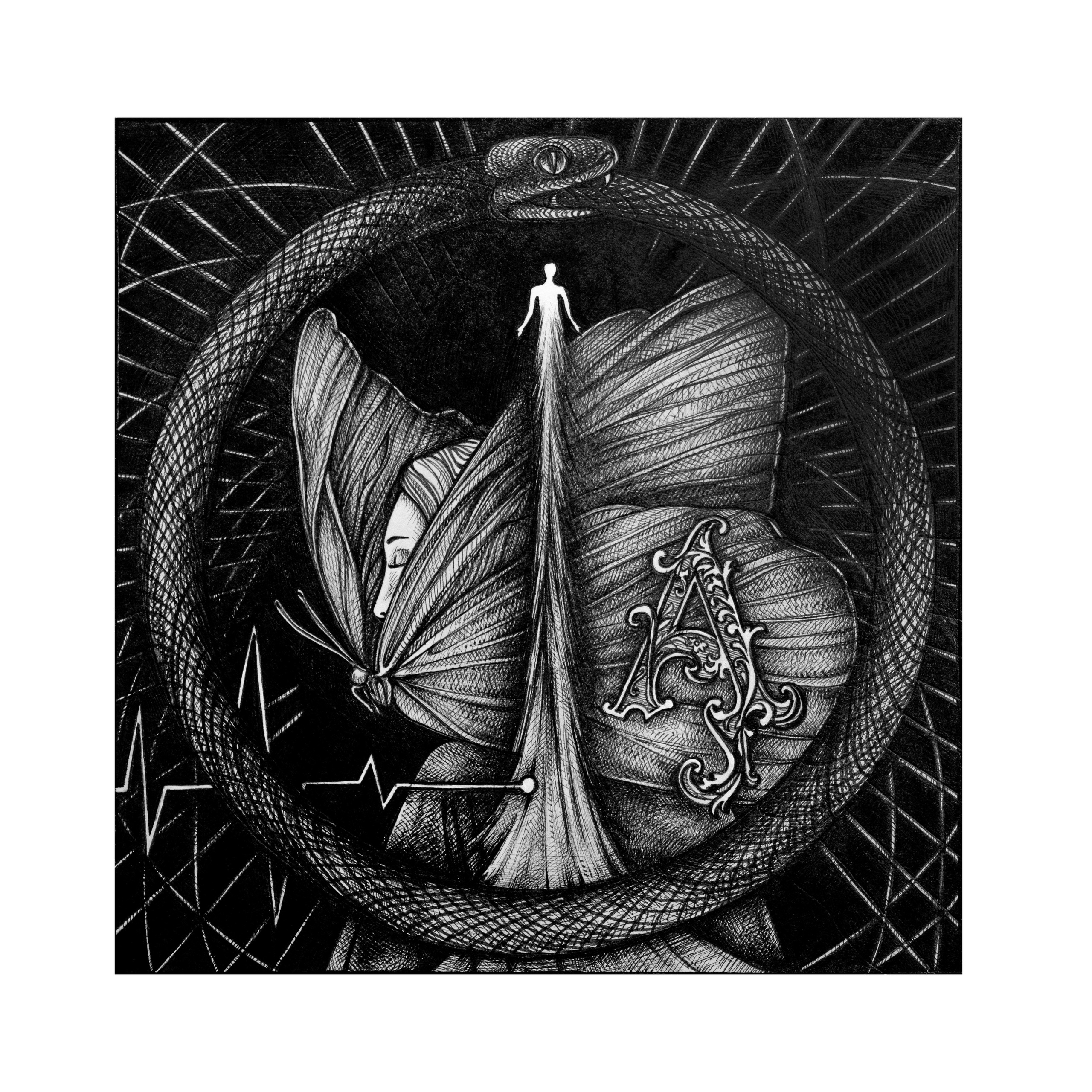 ПРАЙС. ANNSENSUS