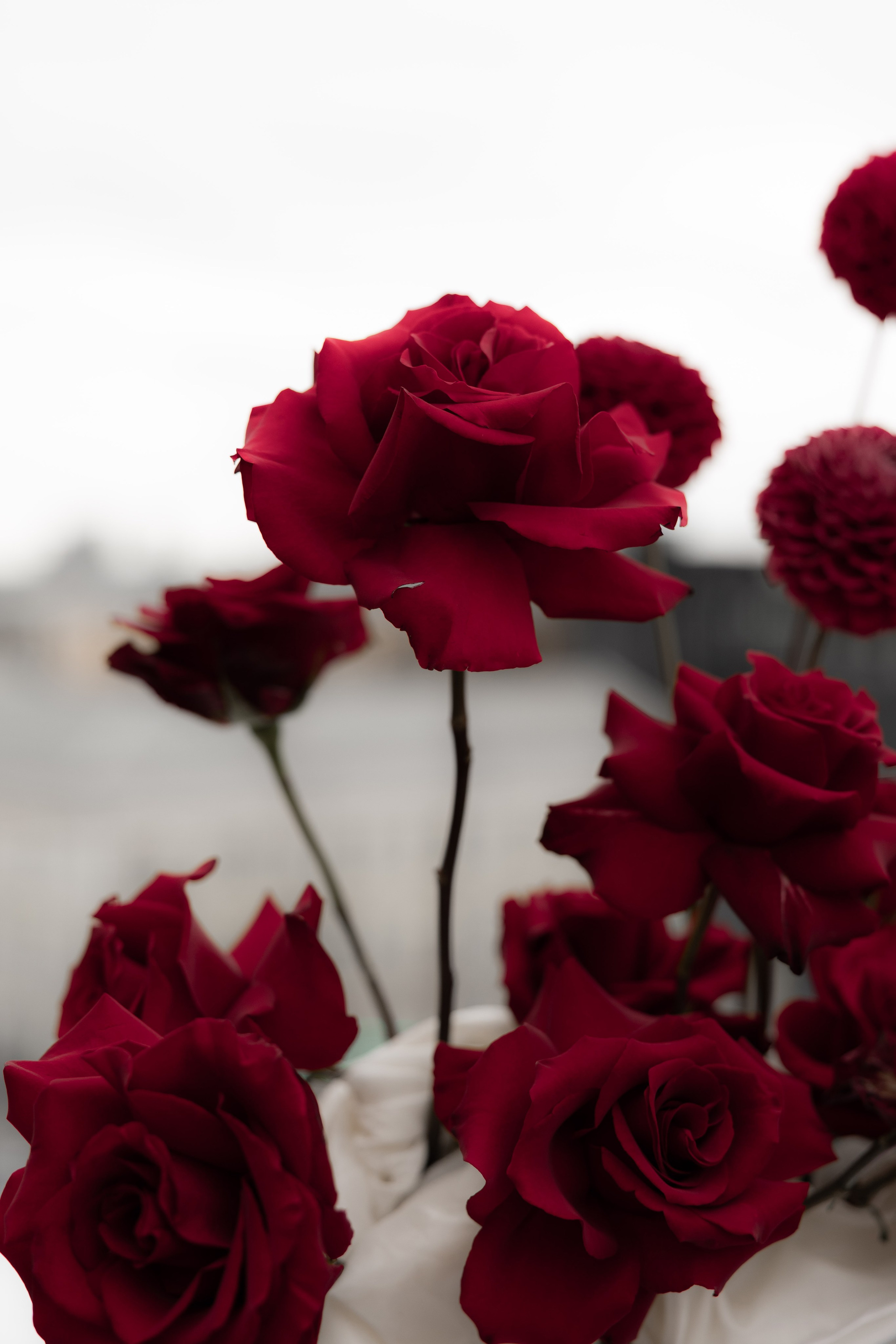 Константин и Инна. Свадебный фотограф Тула Москва СПБ / Сёмина Дарья