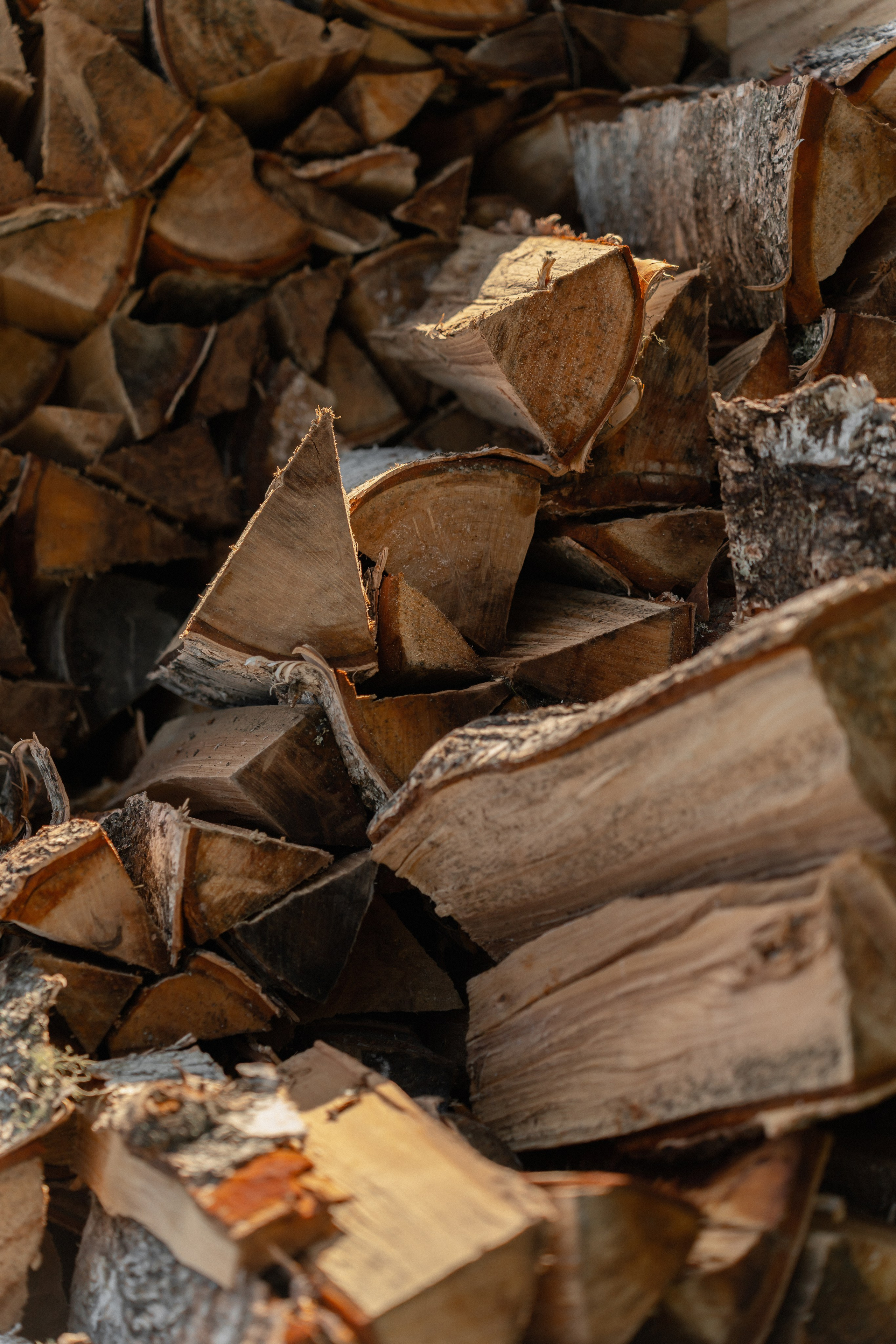 Forest. Wedding. Love | 16.08.2025. Главная