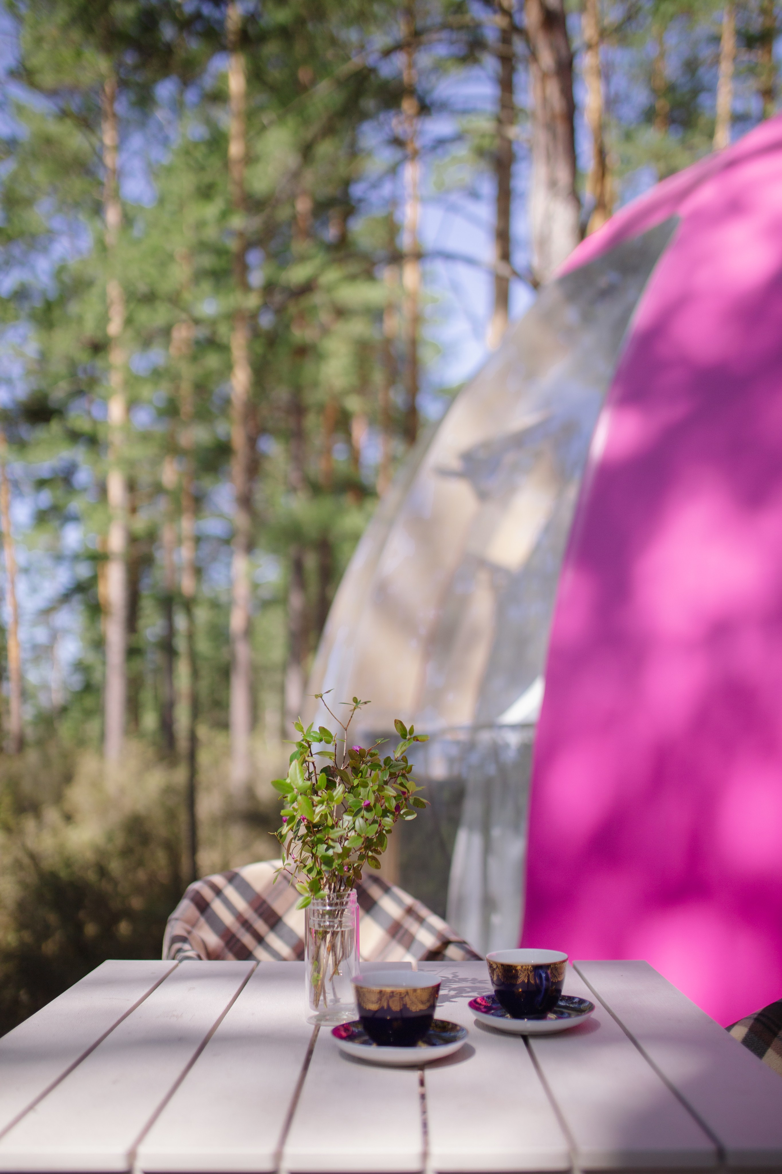 Контент для отелей. Фотограф Горный Алтай