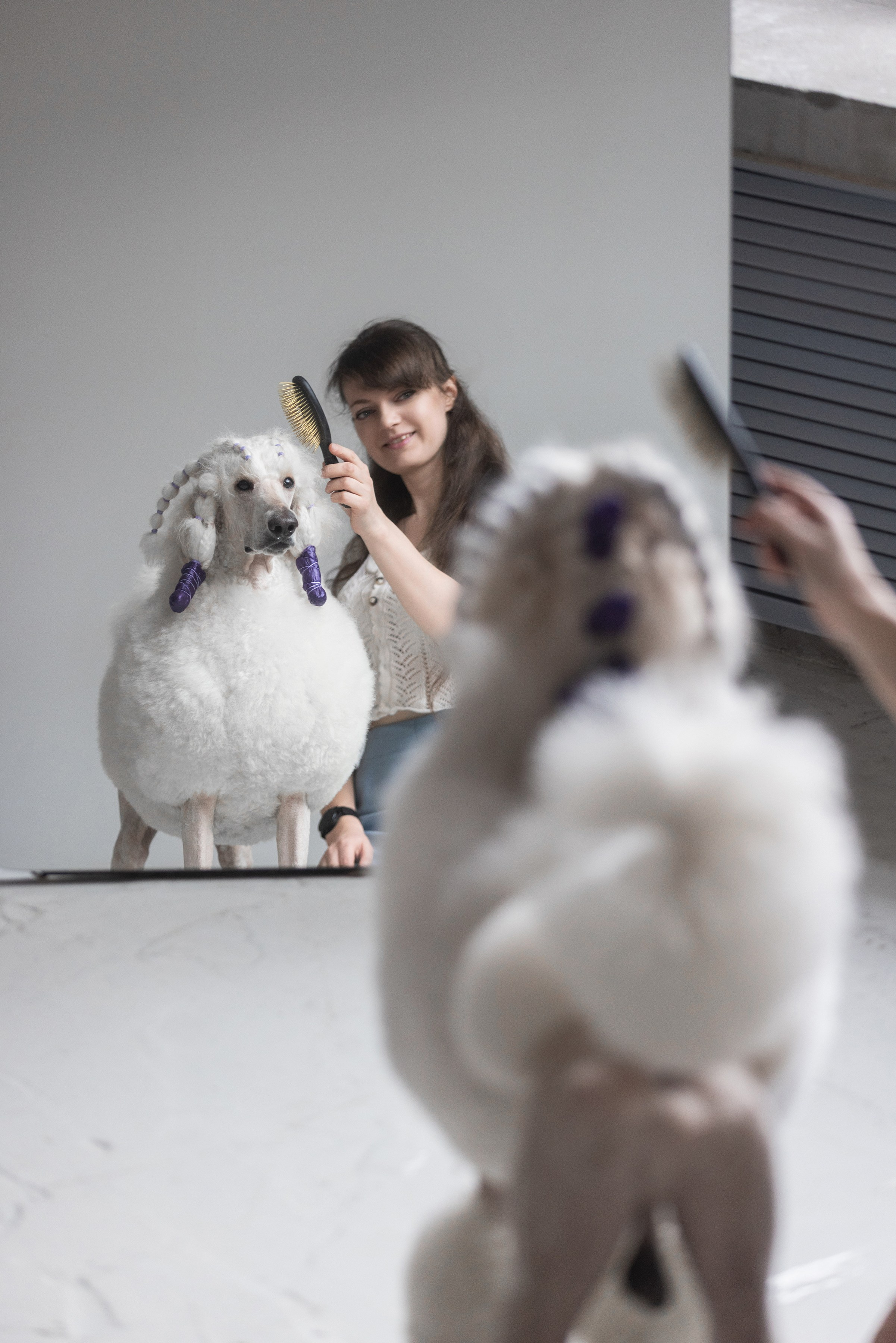 Собаки и не только. Фотограф Алена Звездина