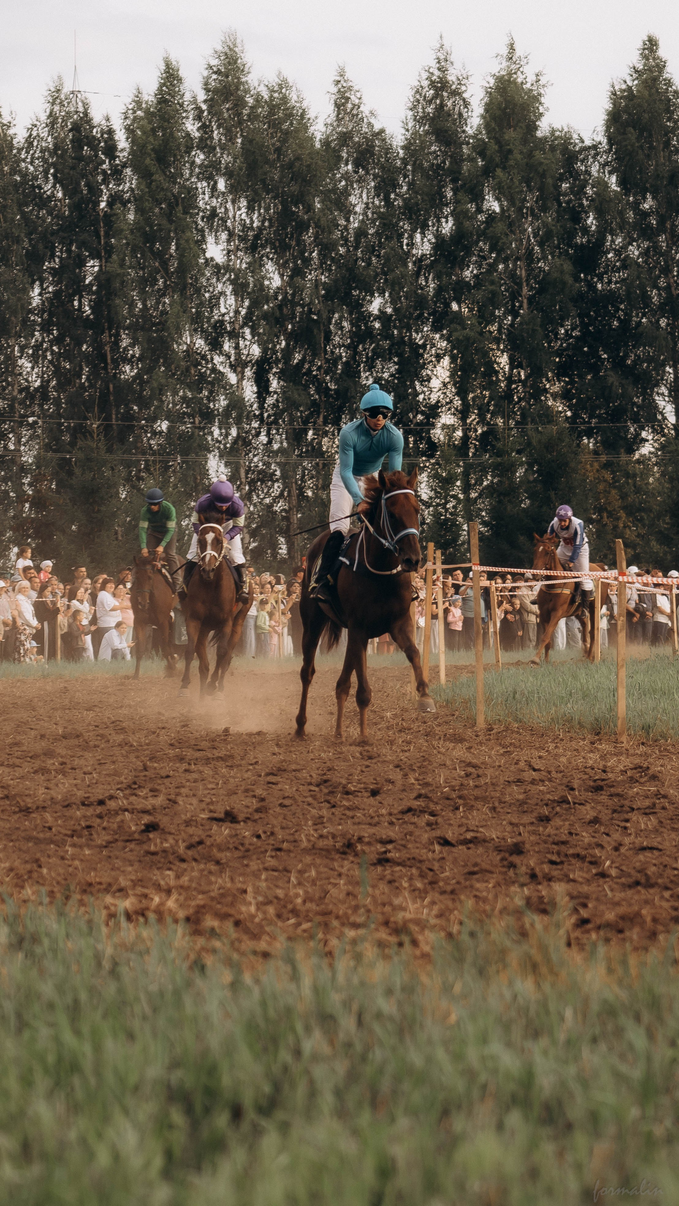 День Коня. Алиса Никитцова | Фотограф в Казани