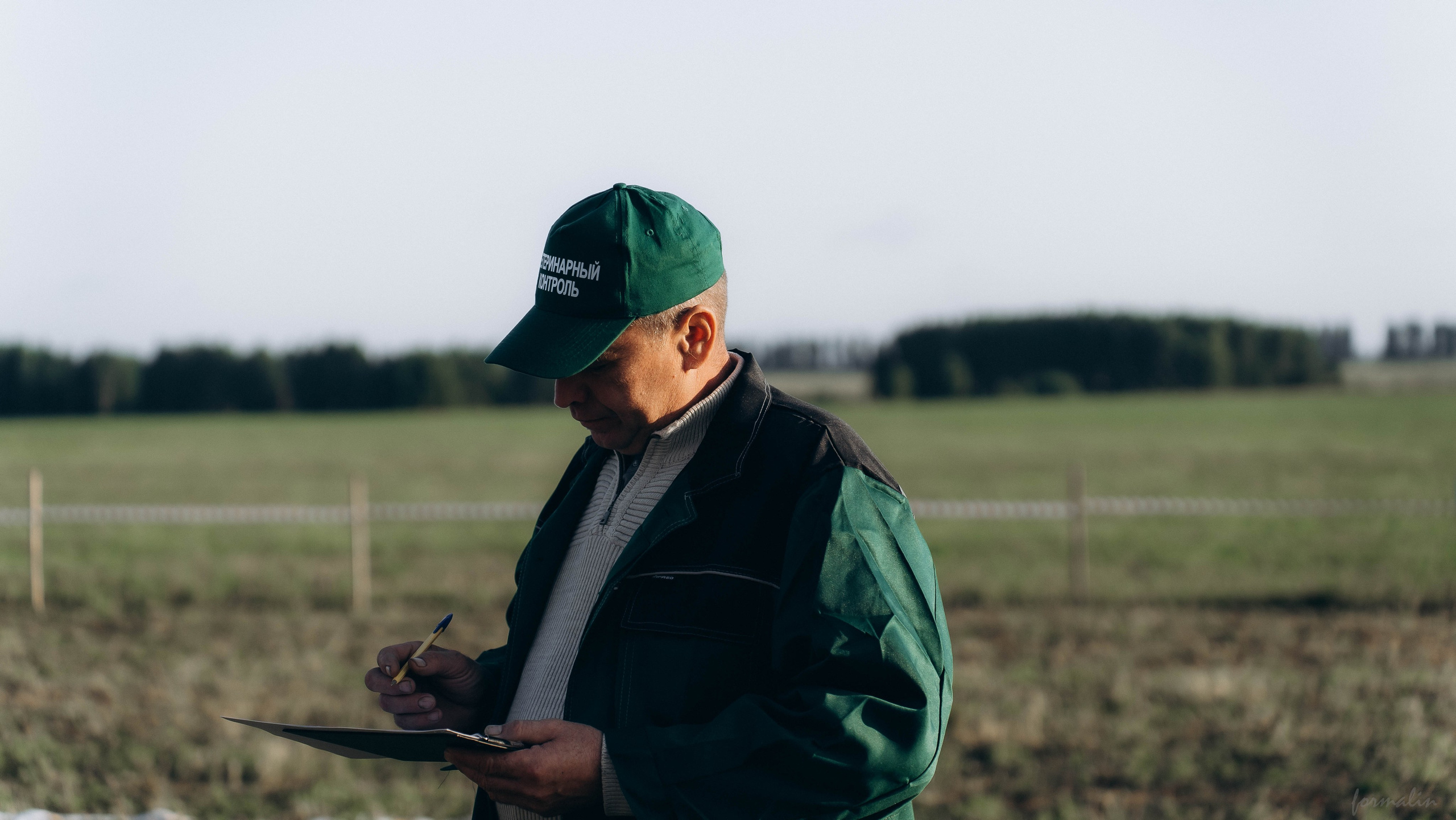 День Коня. Алиса Никитцова | Фотограф в Казани