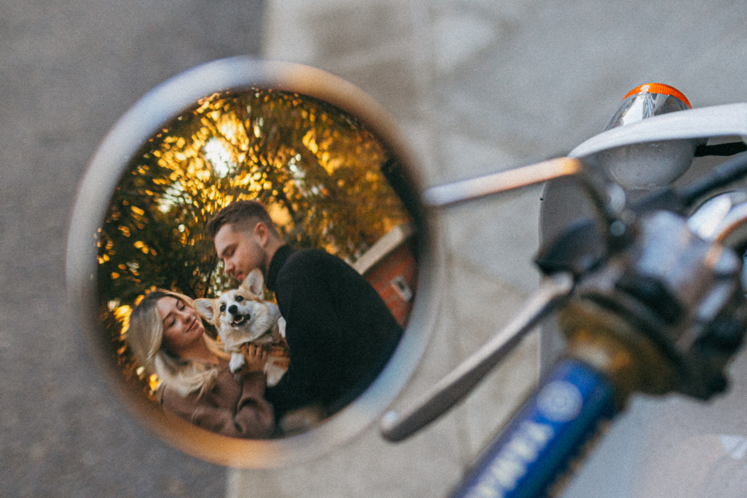 Даша, Рома и Лесли. Фотораф — анималист Мария Шистка