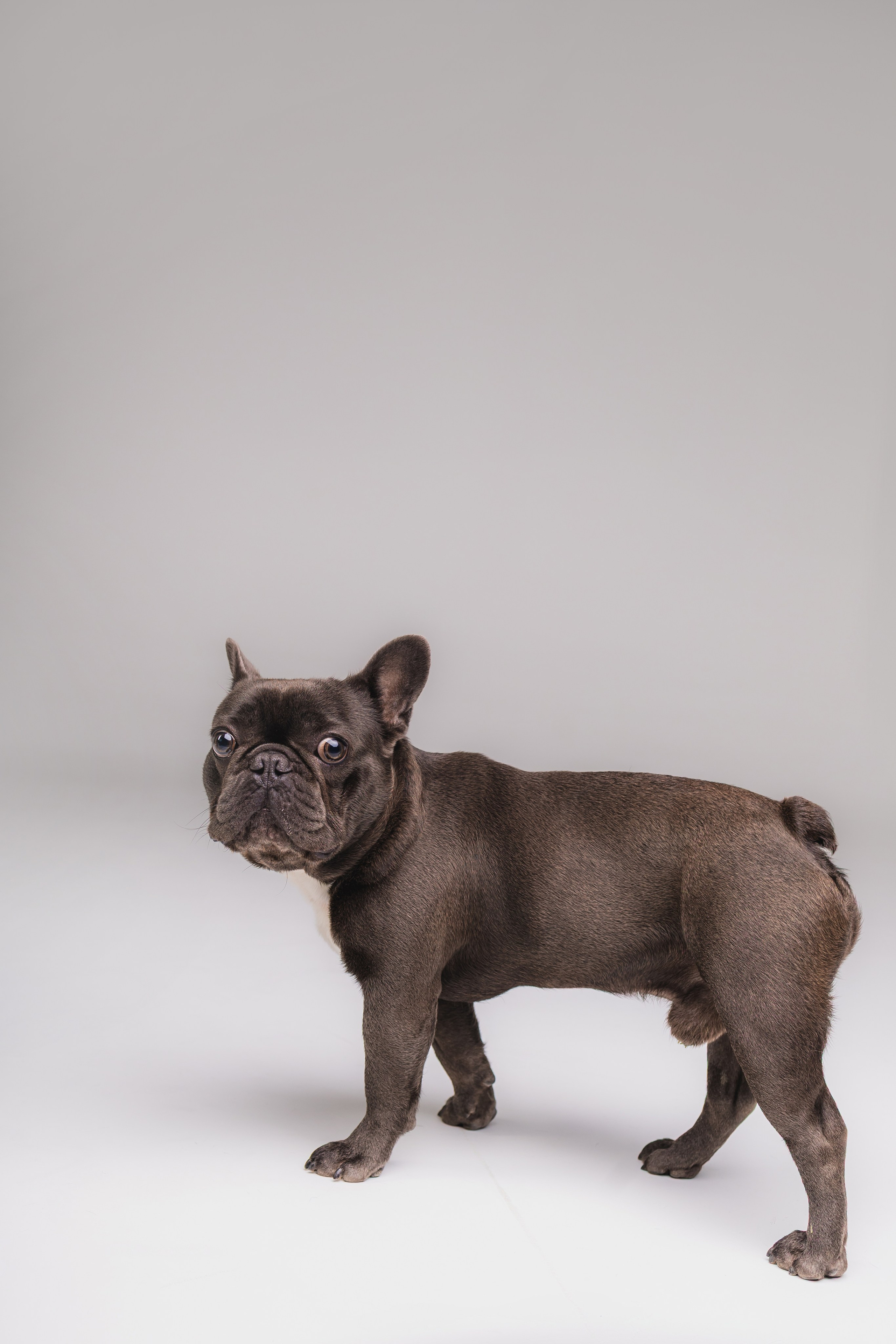 Кристина и Счастье