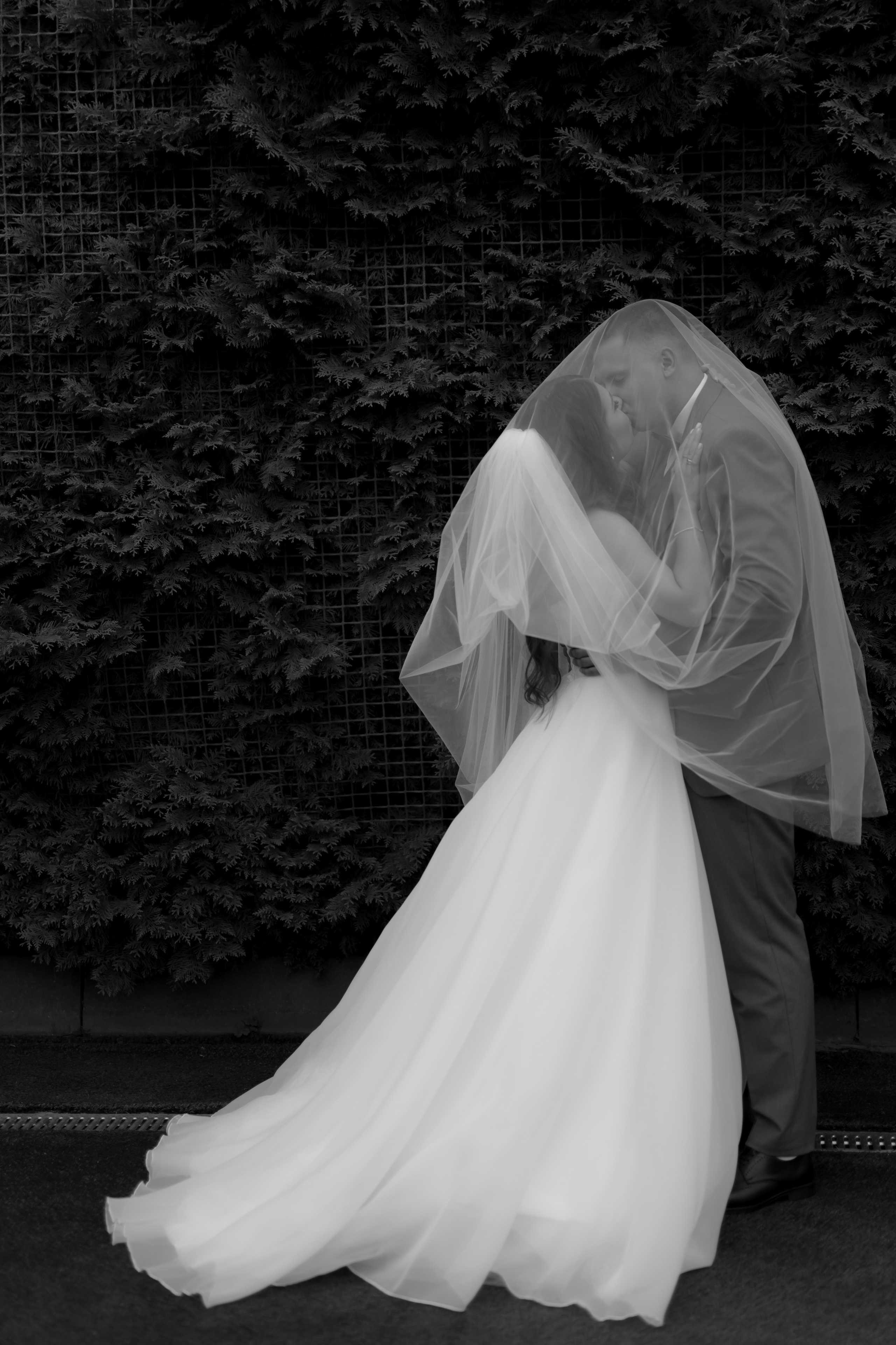 Свадьба Никиты и Алисы. Фотограф Кольчугино/Владимир/Москва Елизавета Иода