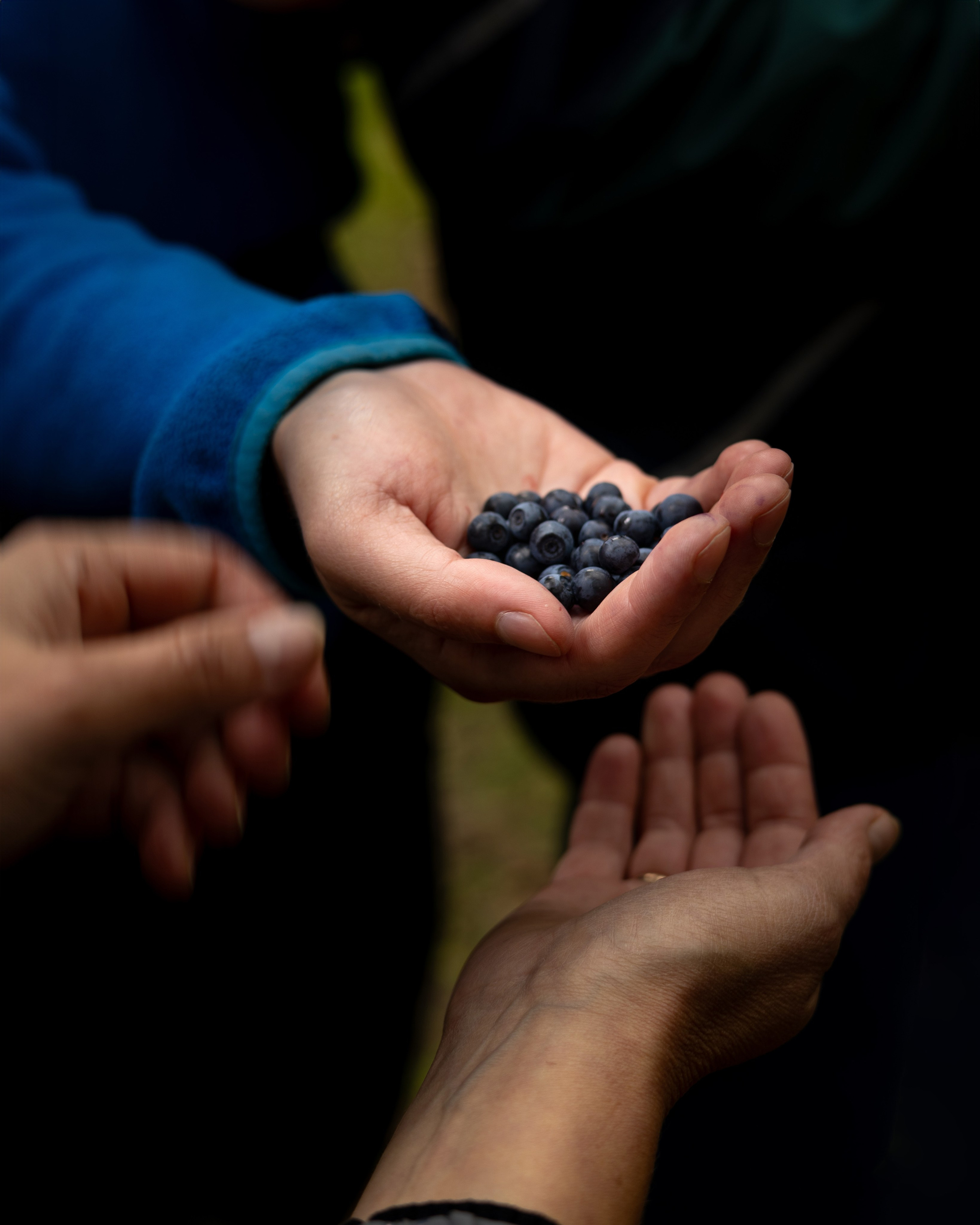 Travel. Индивидуальная и семейная съёмка. Москва, Наталья Самохвалова