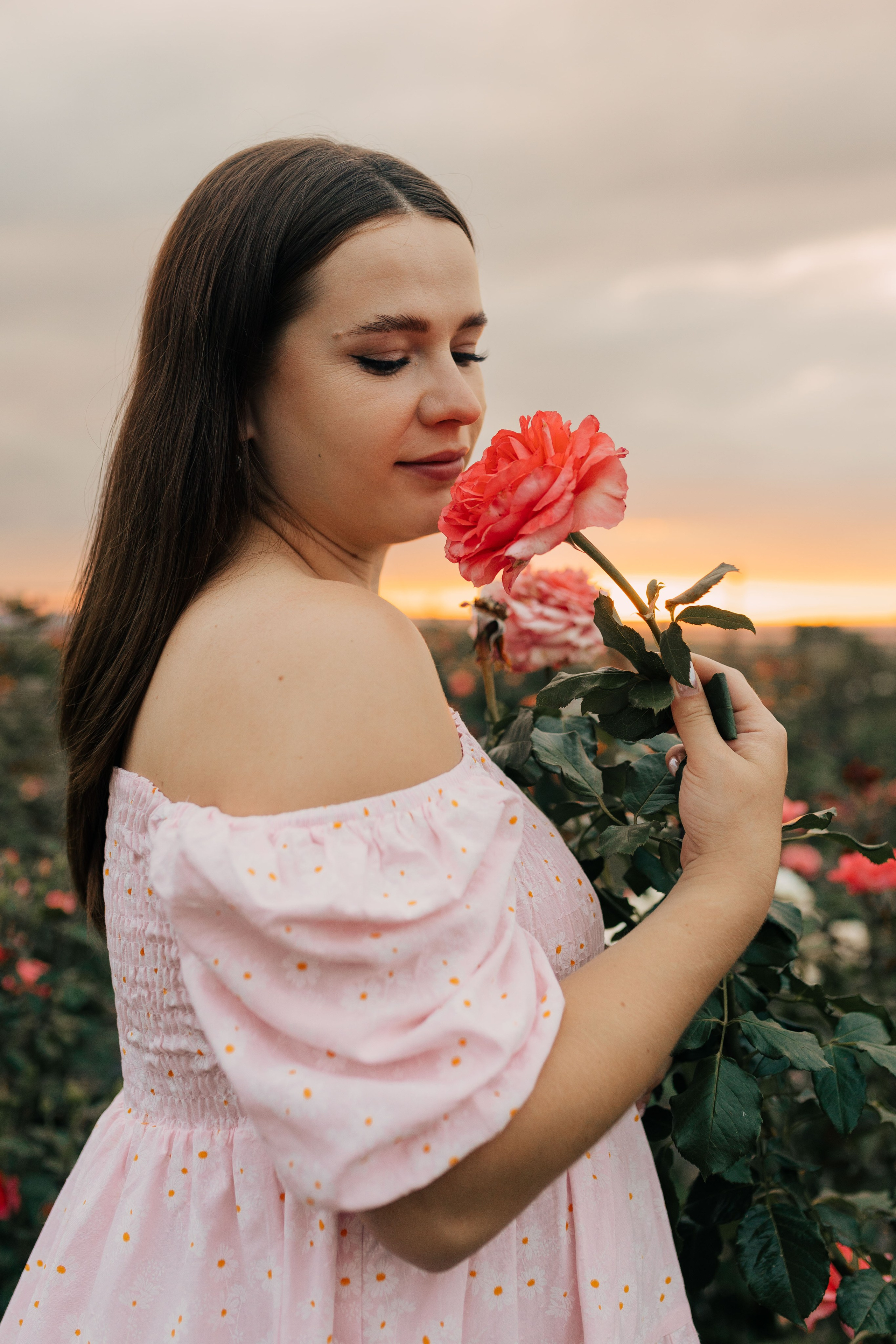 Закат на бахче Пономаревых. Фотограф в Ставрополе Svetlana Matveeva