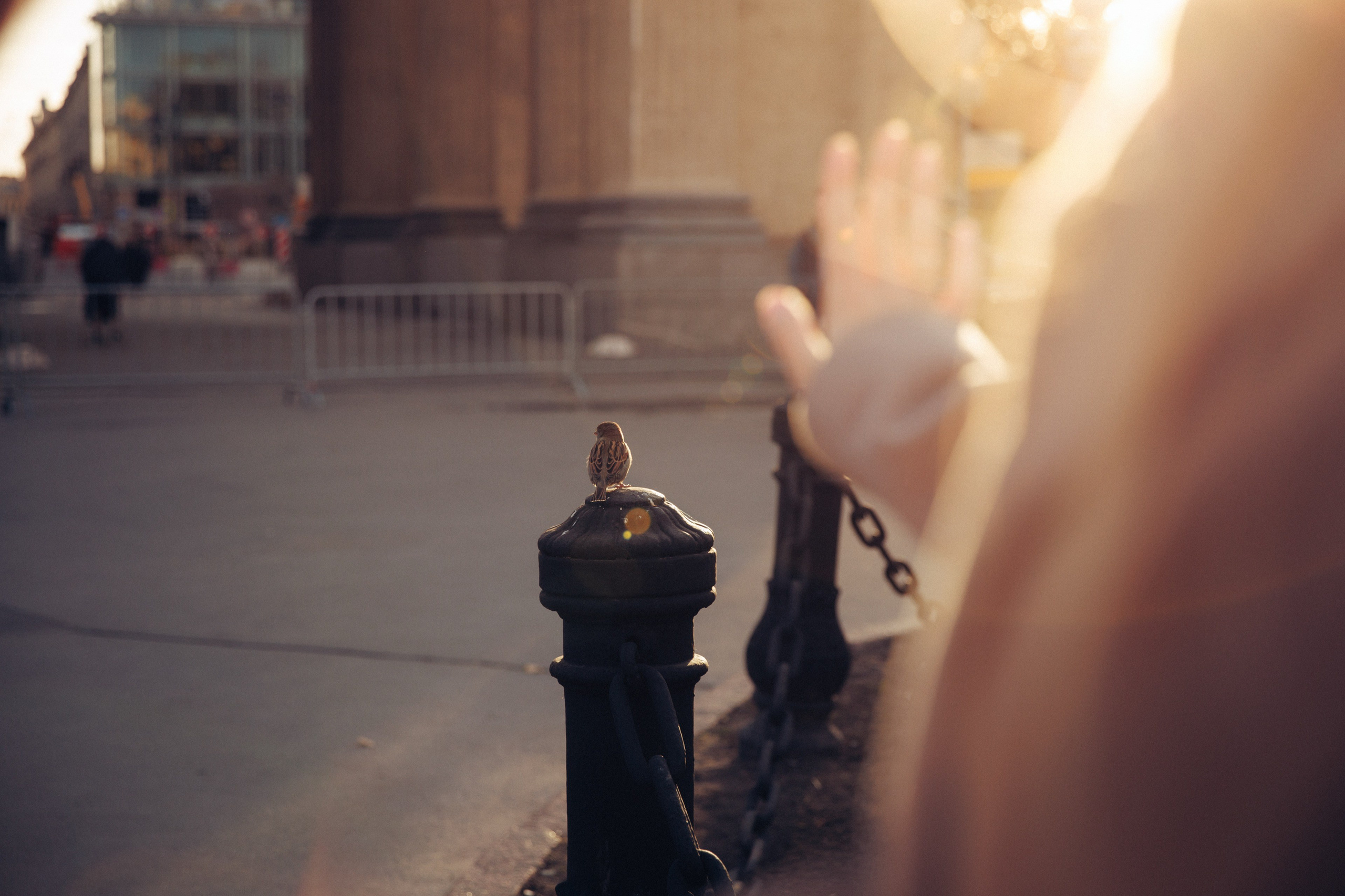 Denis and Nastya’s wedding walk. Commercial photographer | Anton Ermakov