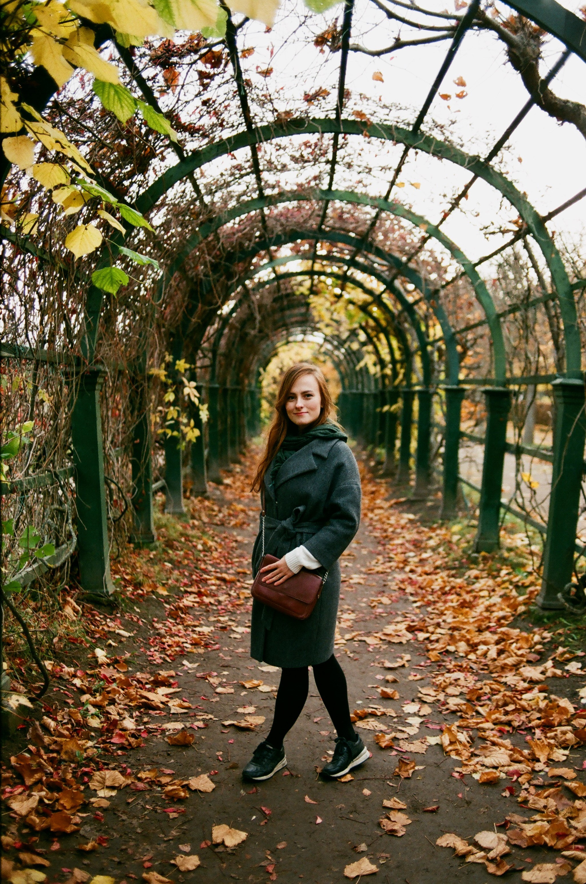 Film. Ruslan UI Dev Page